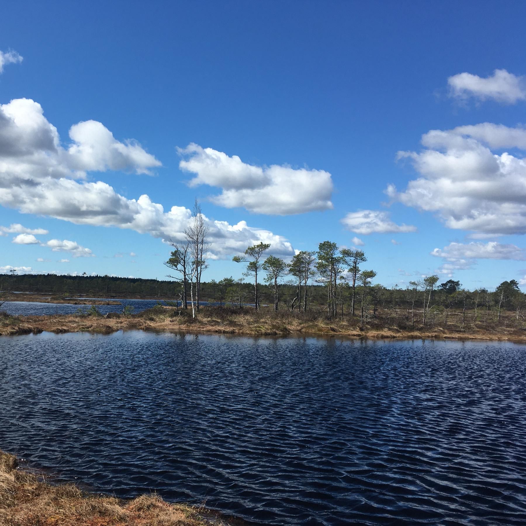 Estland: Wandern im Soomaa Sumpf, Lost Place Linnahall in Tallinn, Hotel in der Dorfschule