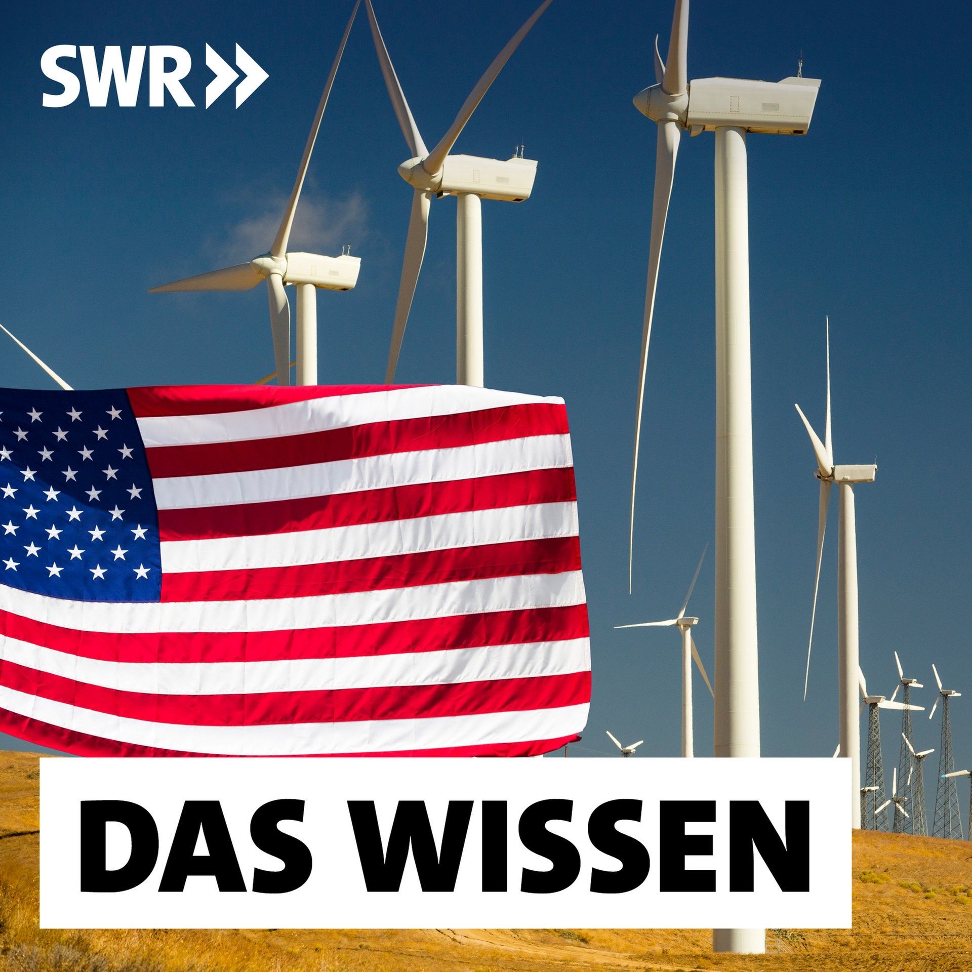 Grüne Energie ohne Trump – Wie die US-Wirtschaft für Klimaschutz sorgt