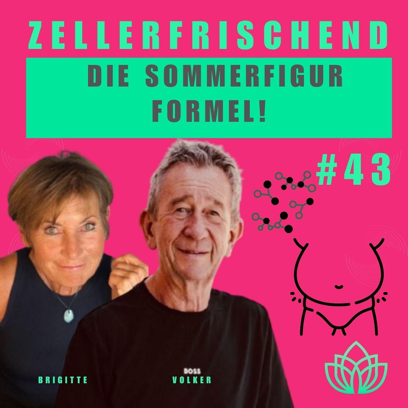 Zellerfrischend - Die Sommerfigur Formel #43