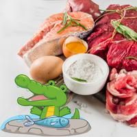 238 - Ernährungsformen Übersicht