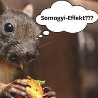 159 - Somogyi-Effekt die Rebound-Hypoglykämie