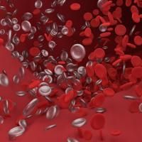 148 - Gewebezucker Blutzucker ist wie Kotzen in der Achterbahn_FOCUS-Diabetes