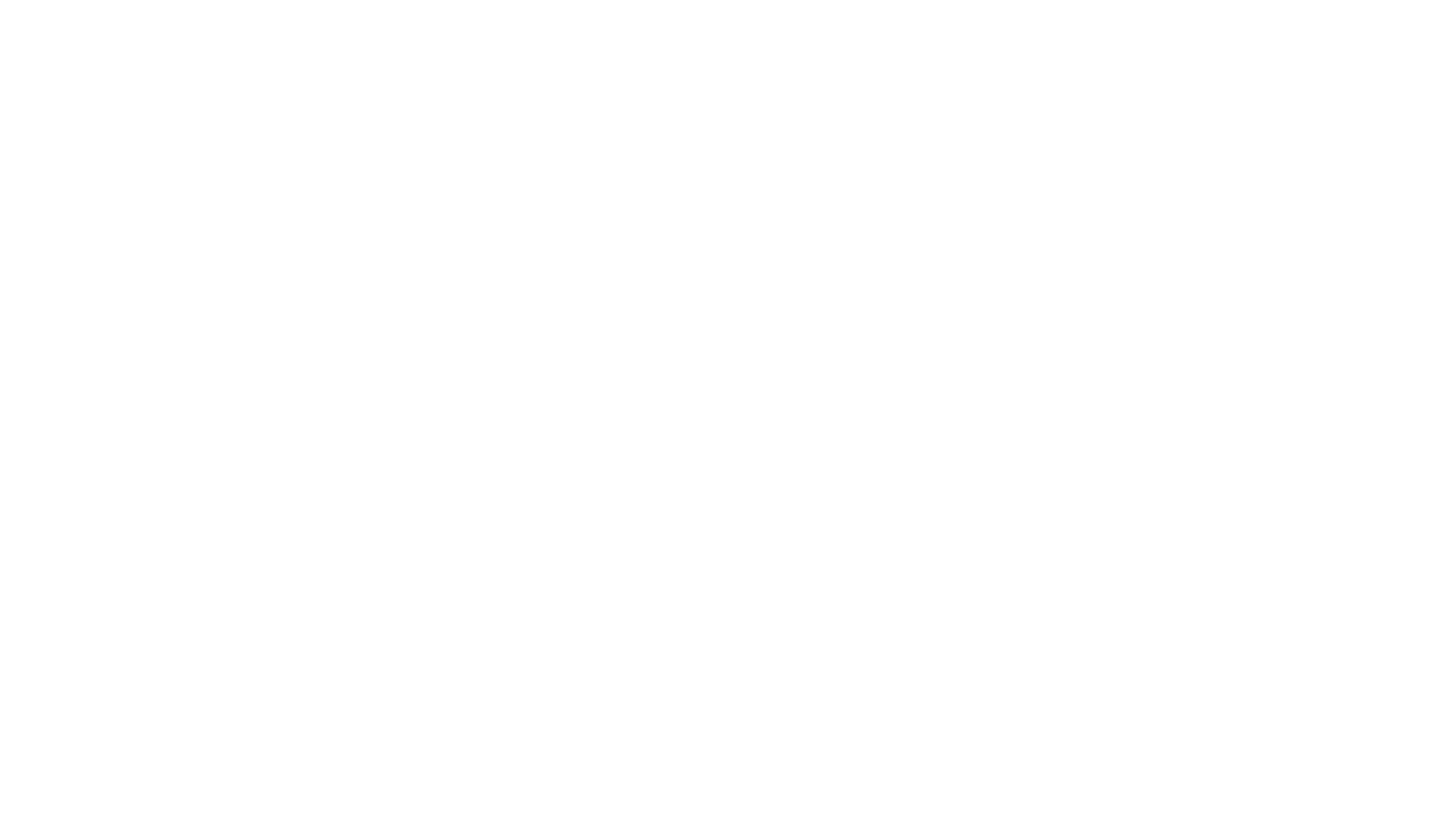 The Beekeeper