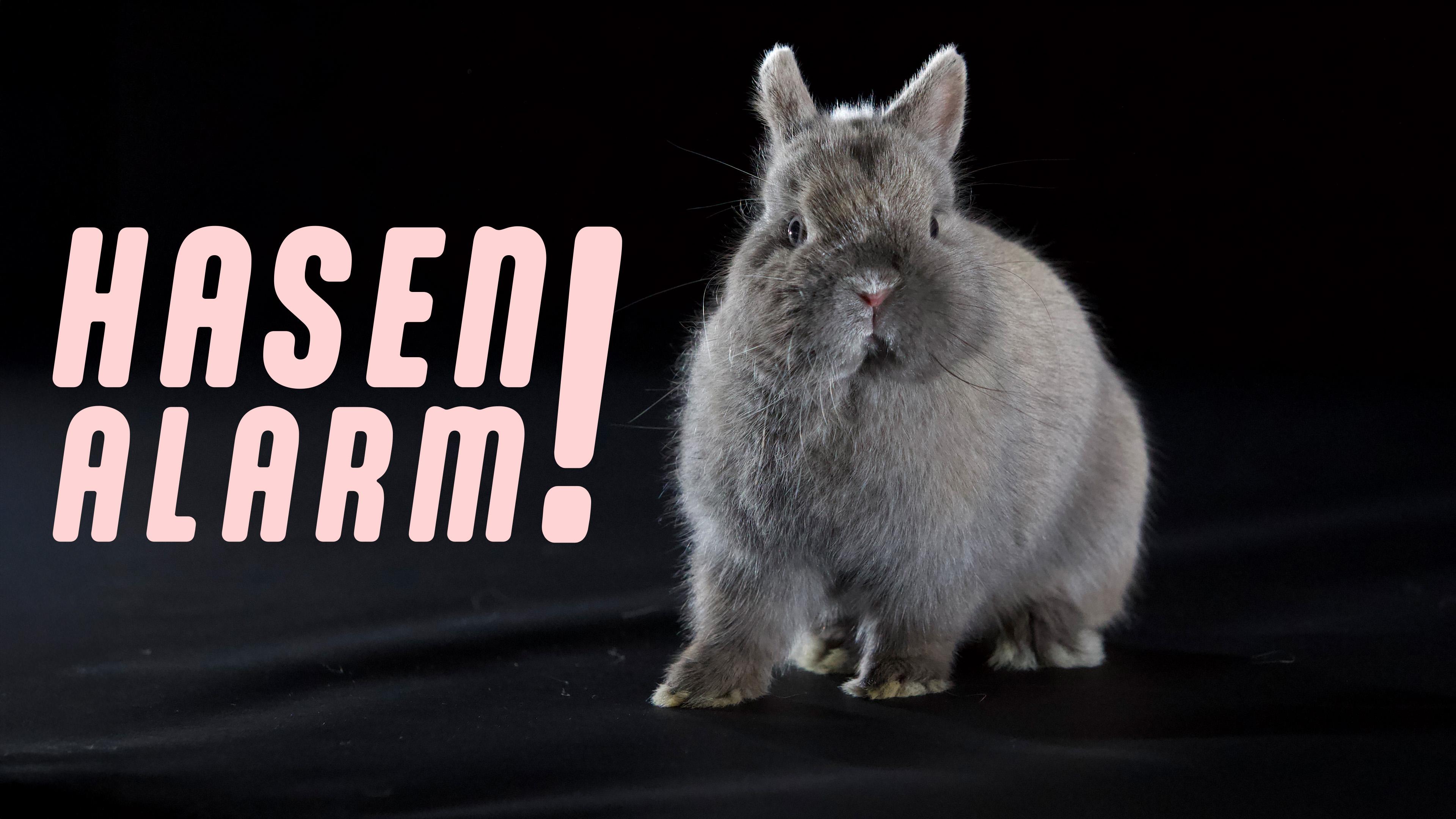 Hasenalarm!
