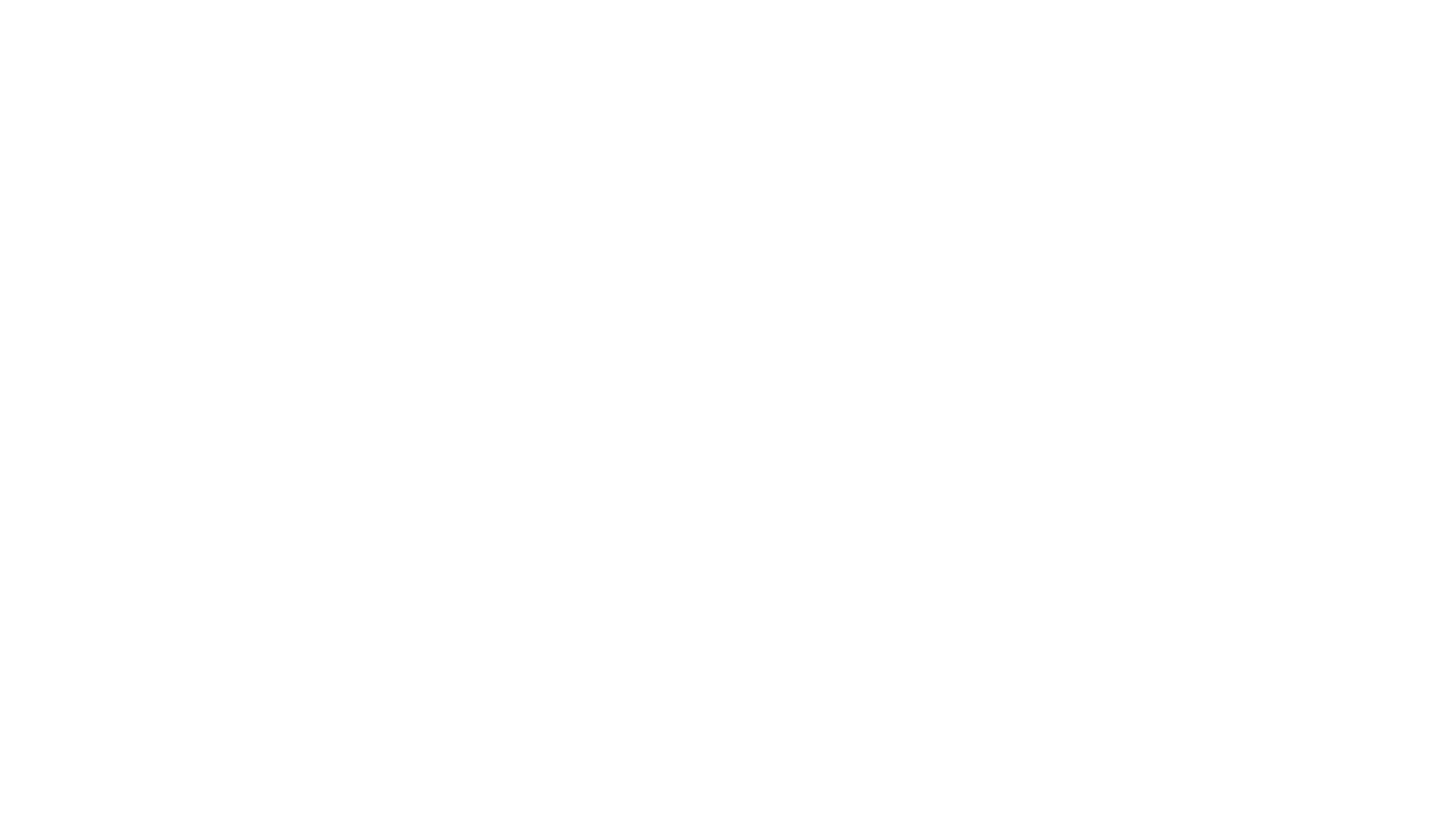 Bushido - Meine Wahrheit