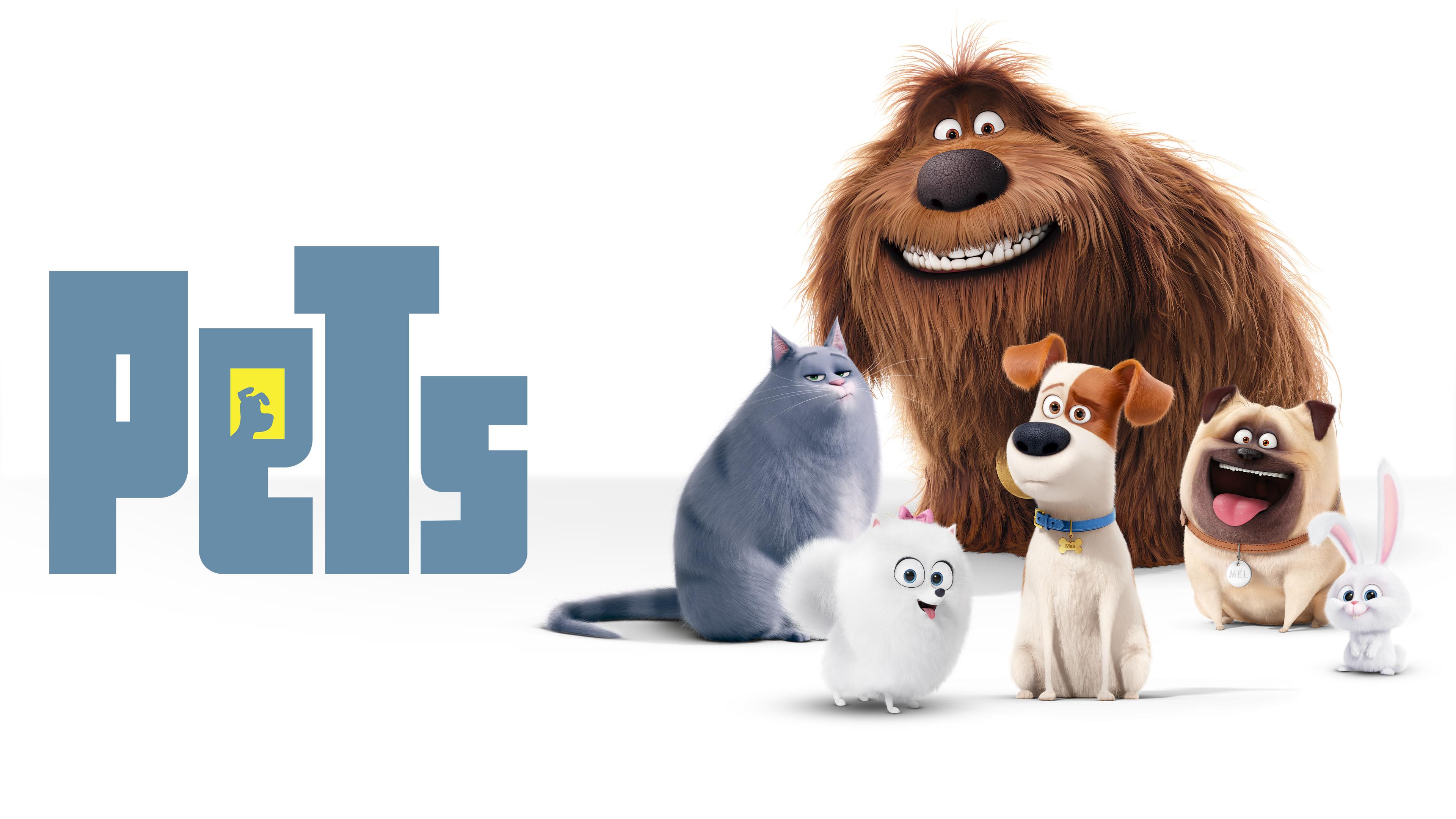 Pets