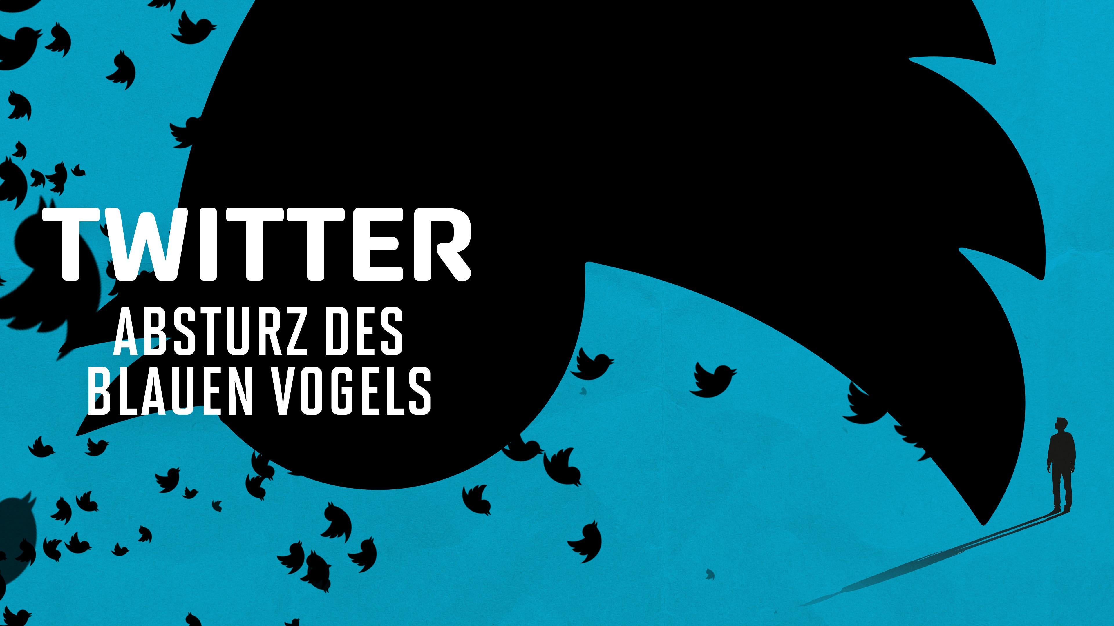Twitter: Absturz des blauen Vogels