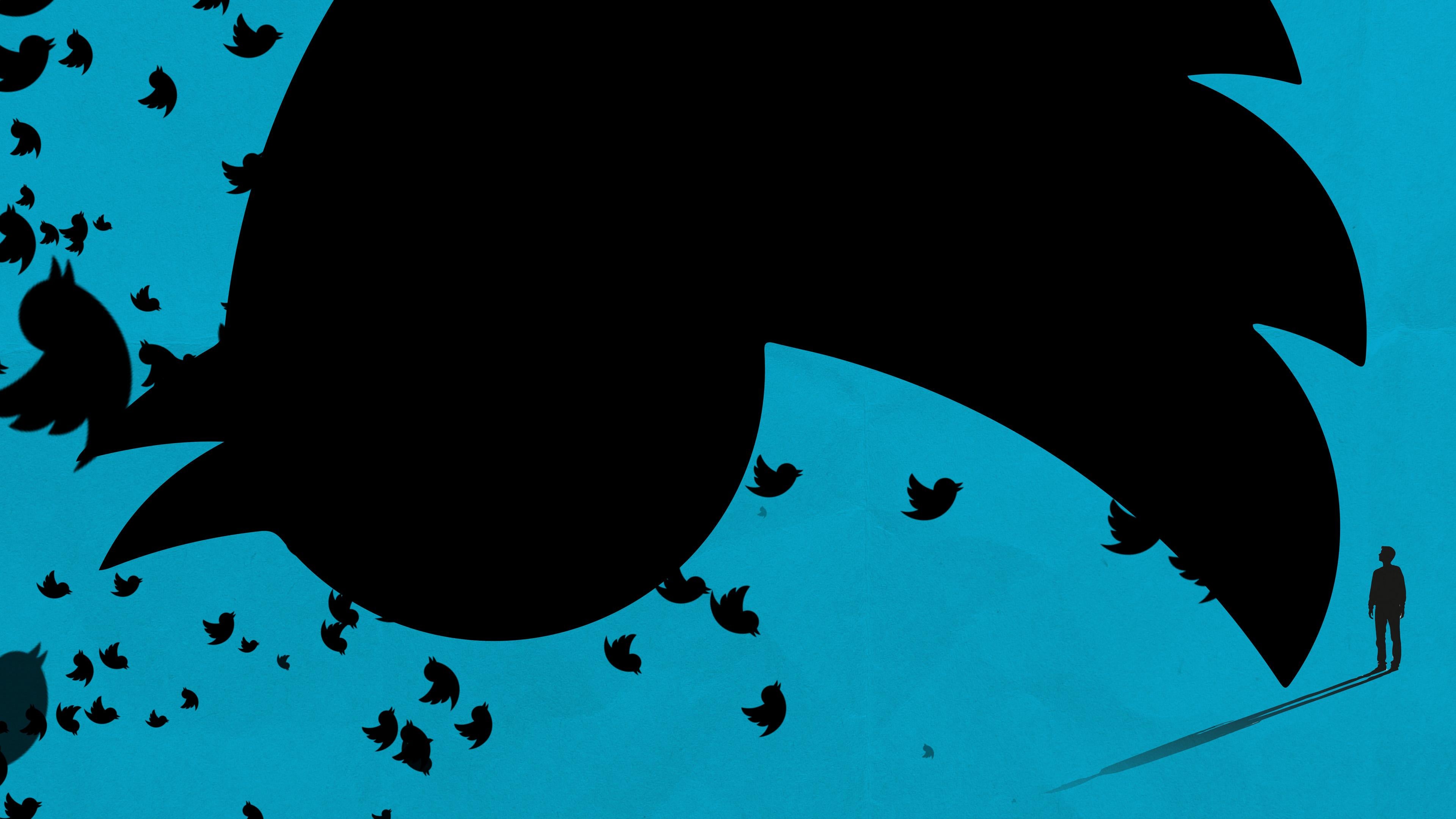 Twitter: Absturz des blauen Vogels