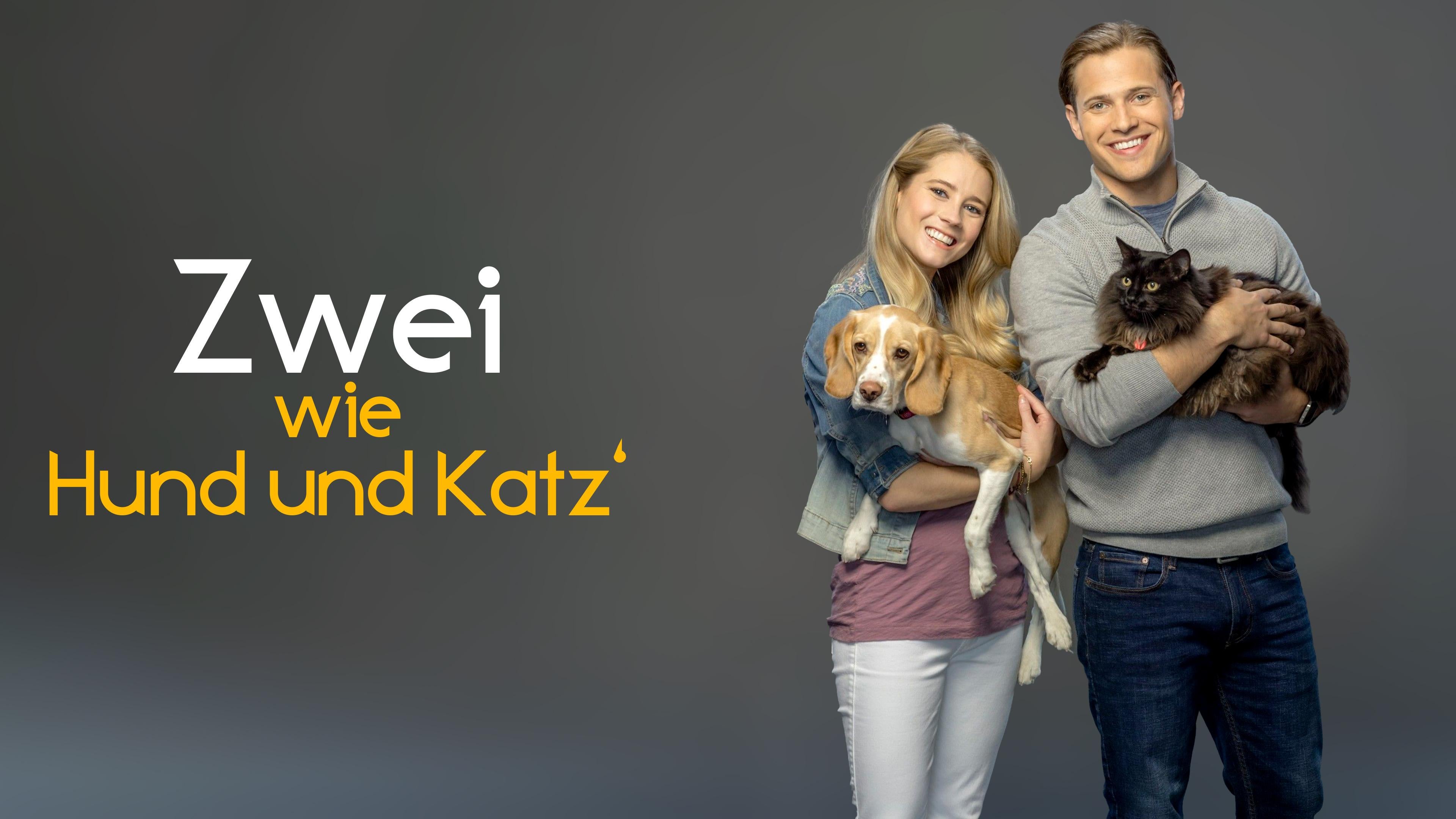 Zwei wie Hund und Katz'