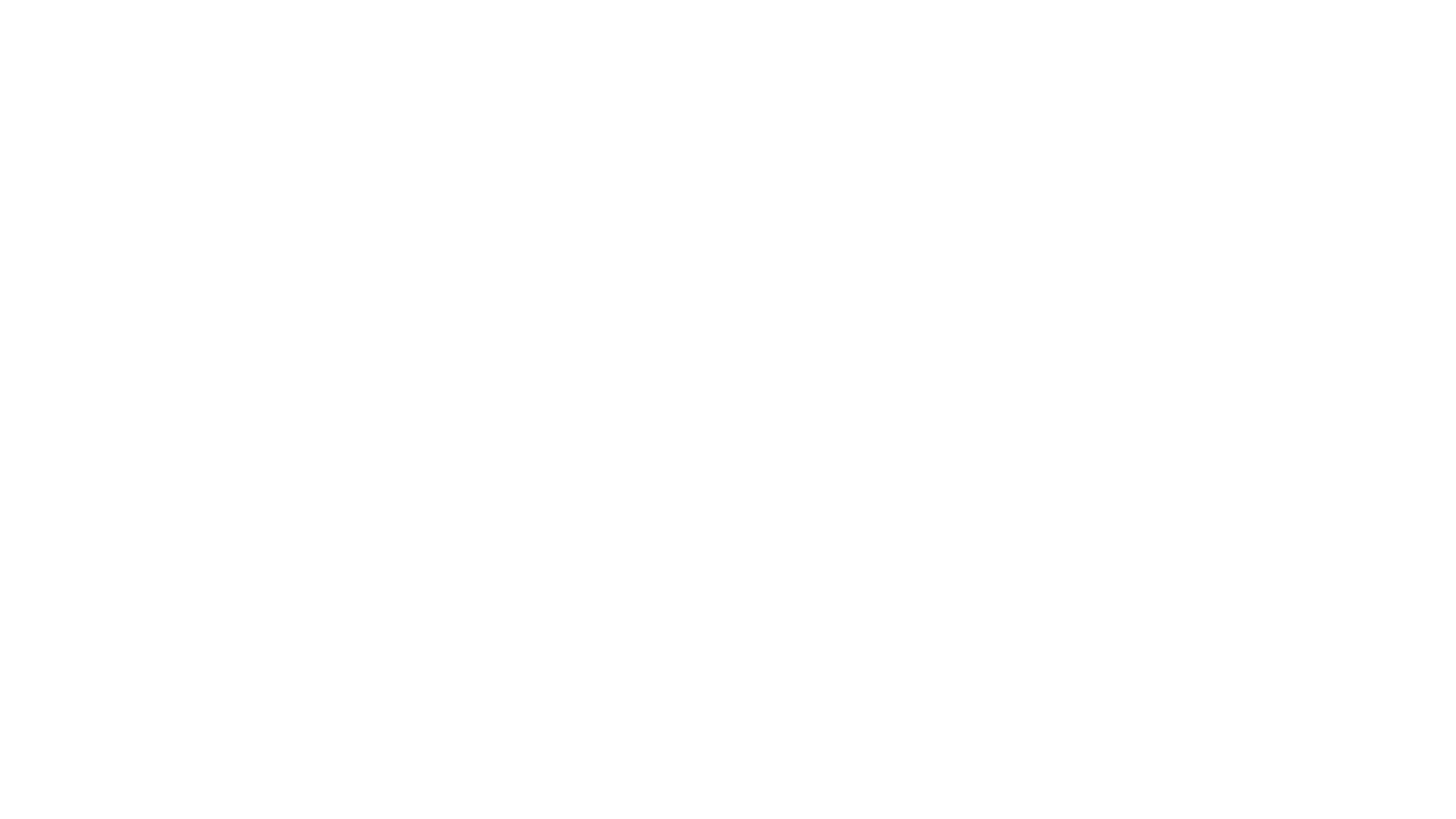Christmas at the Plaza - Verliebt in New York