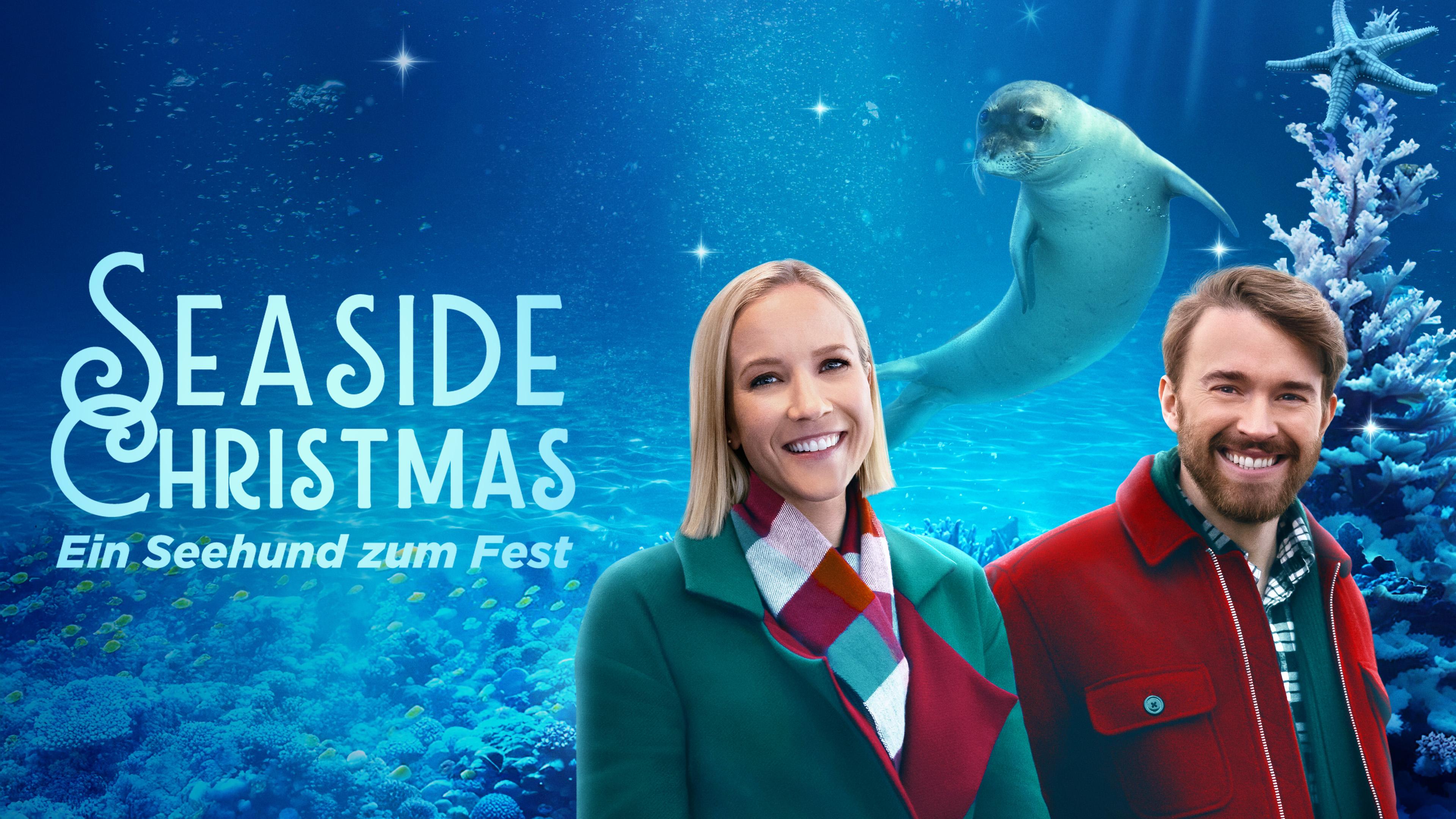 Seaside Christmas - Ein Seehund zum Fest