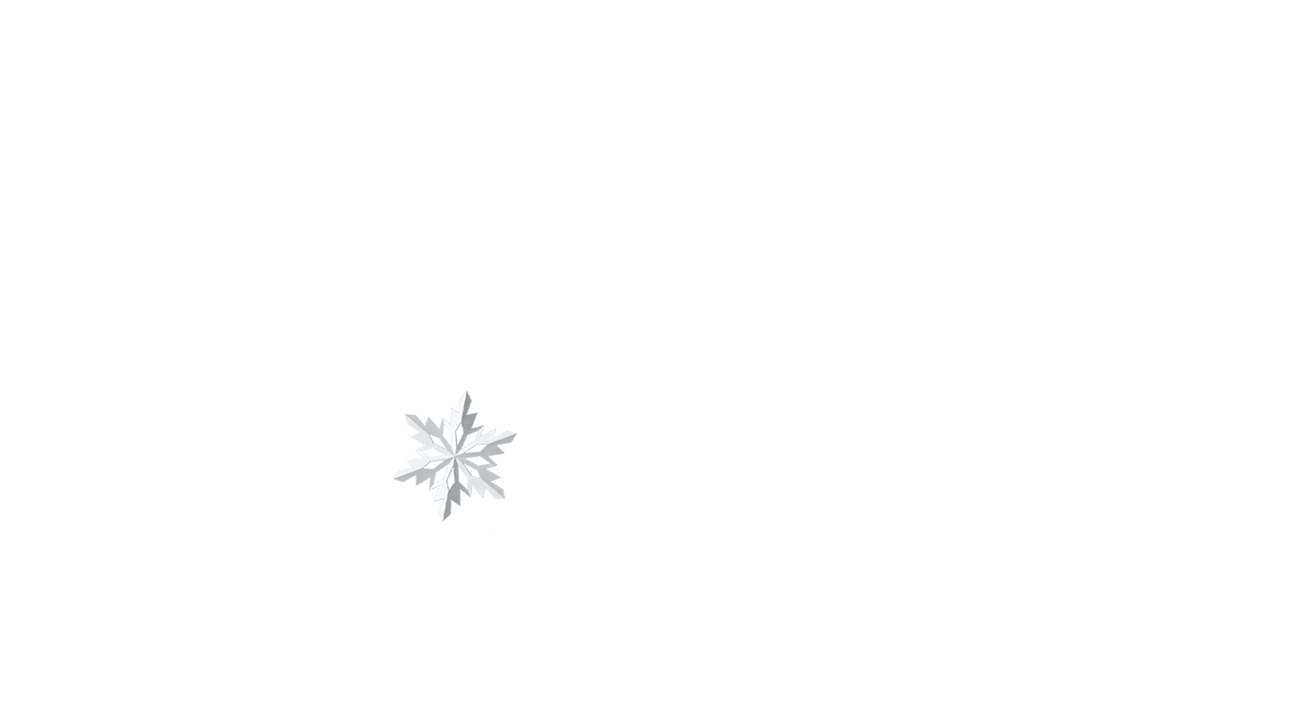 Falling Like Snowflakes - Im Fokus der Liebe