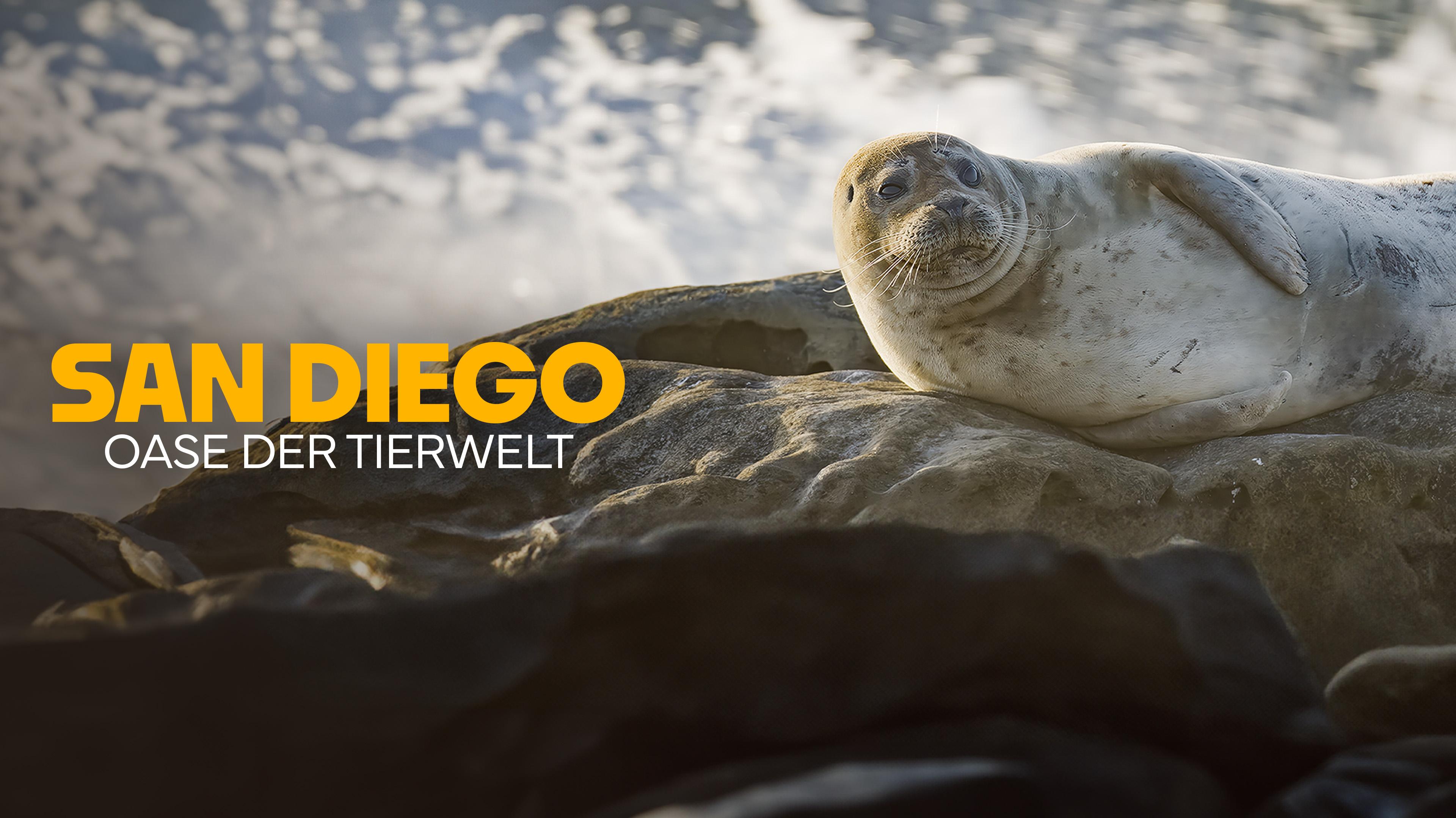 San Diego - Oase der Tierwelt