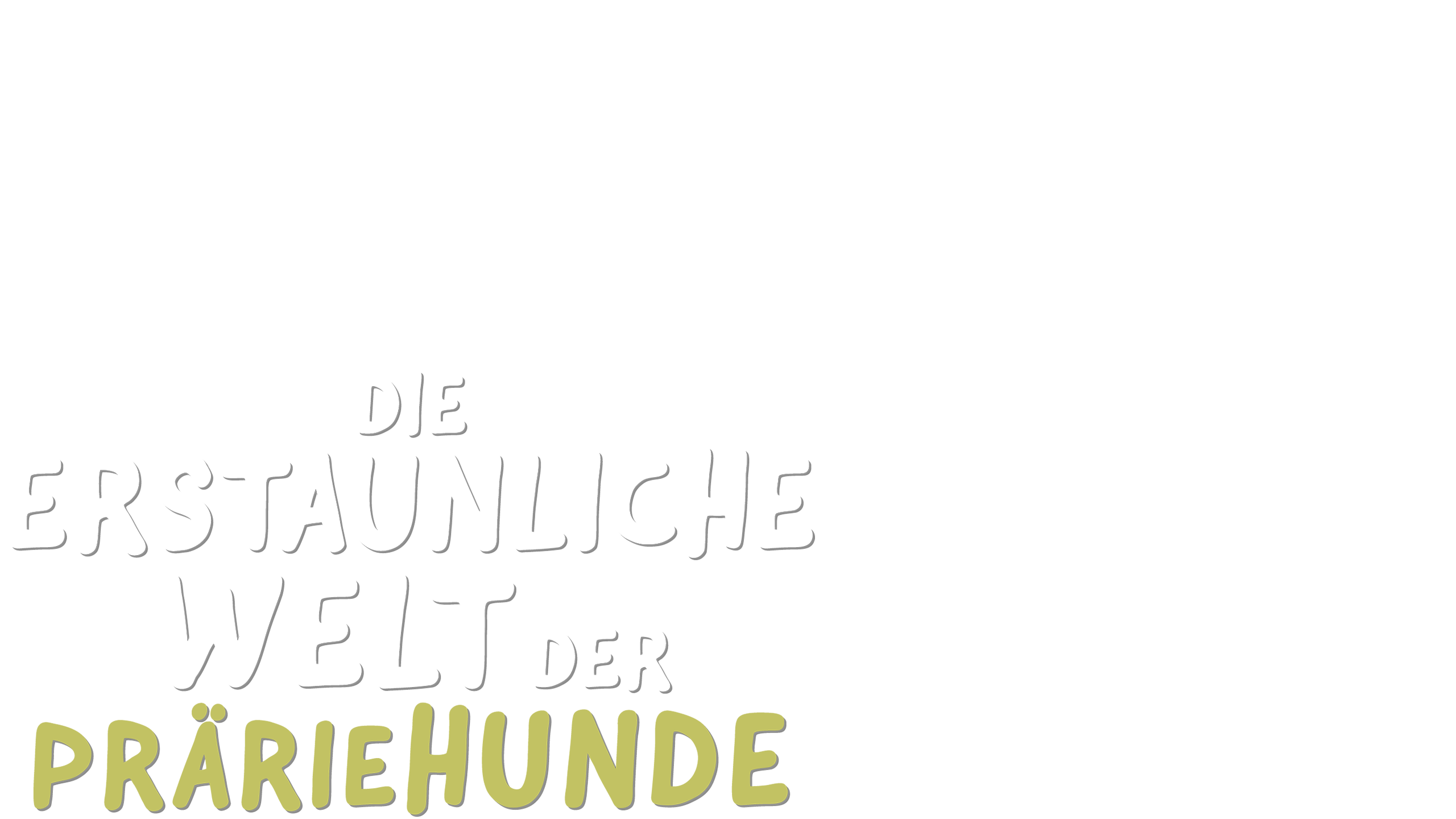 Die erstaunliche Welt der Präriehunde
