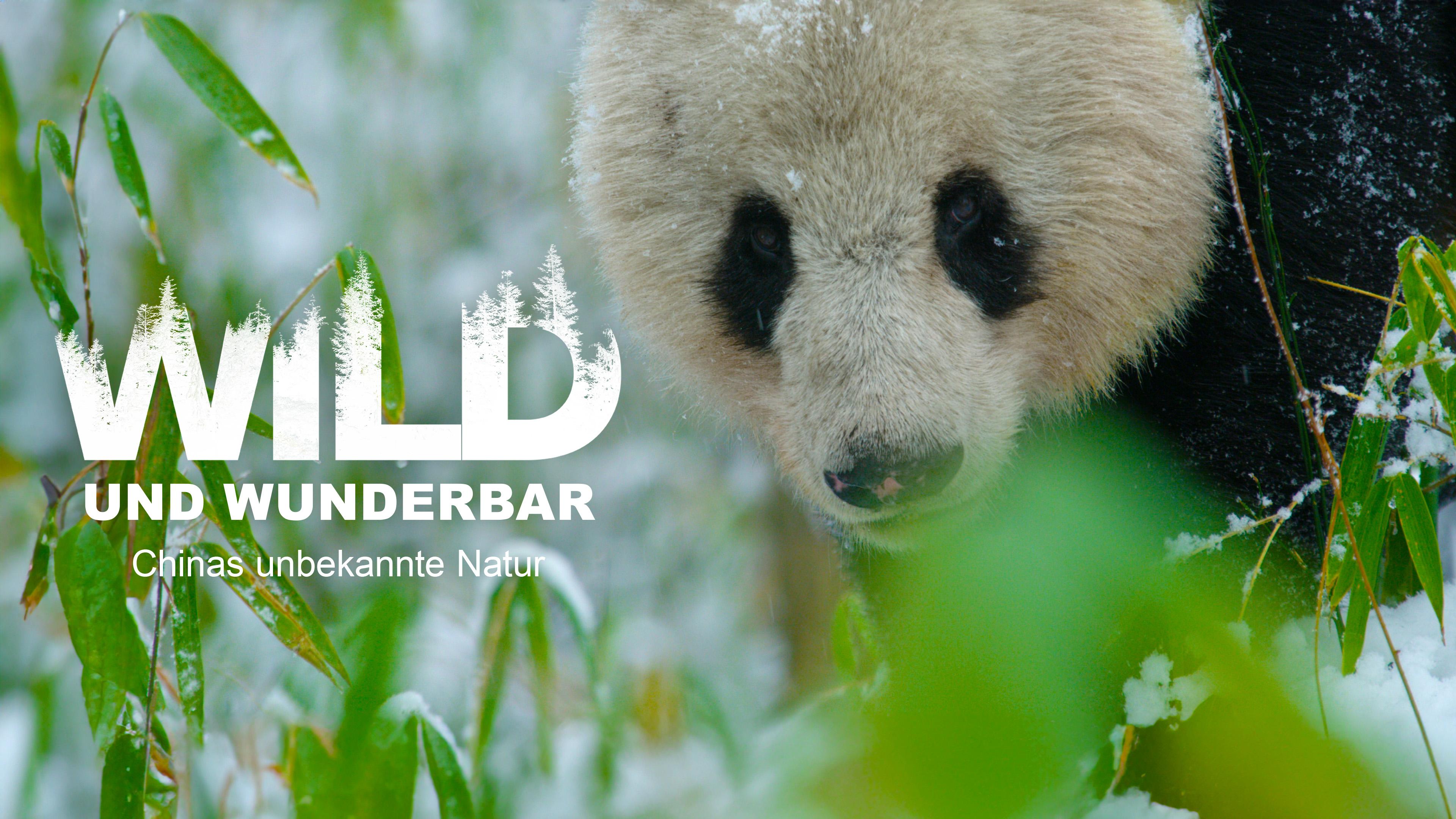 Wild und wunderbar - Chinas unbekannte Natur