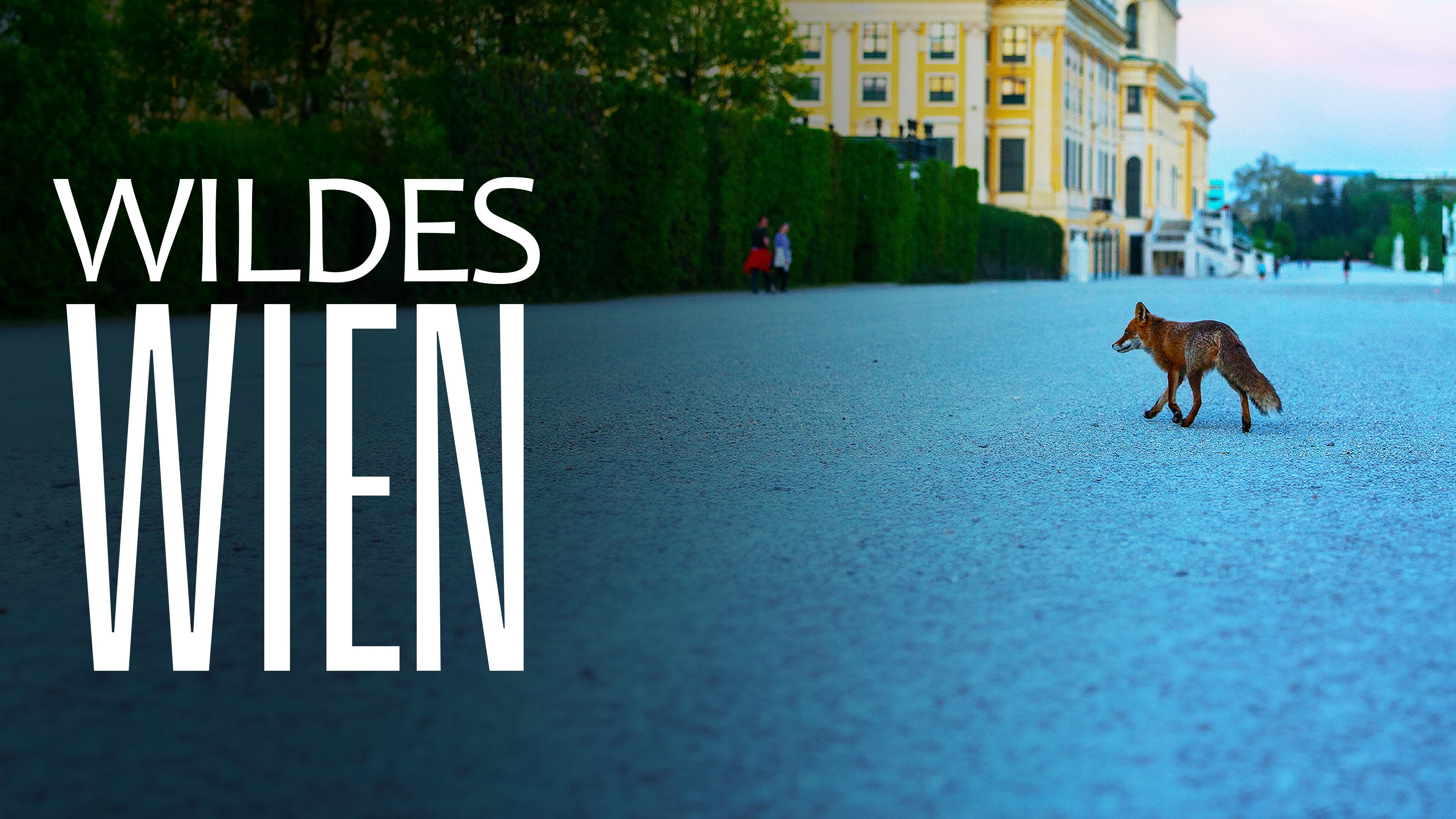 Wildes Wien