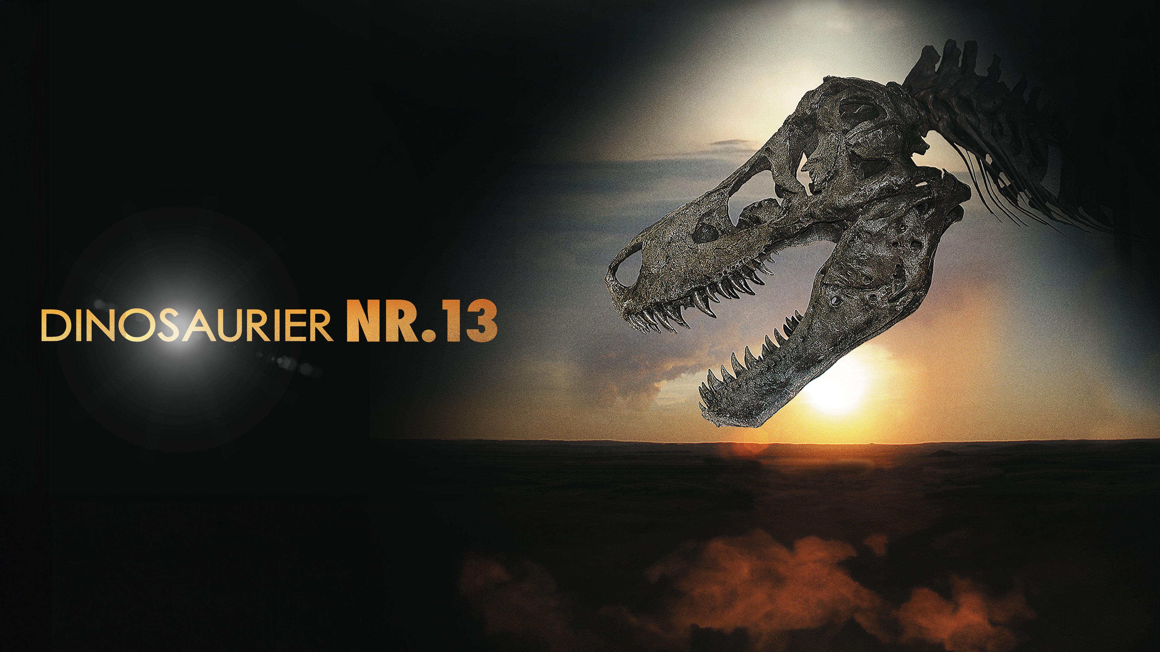 Sue, Dinosaurier Nr. 13
