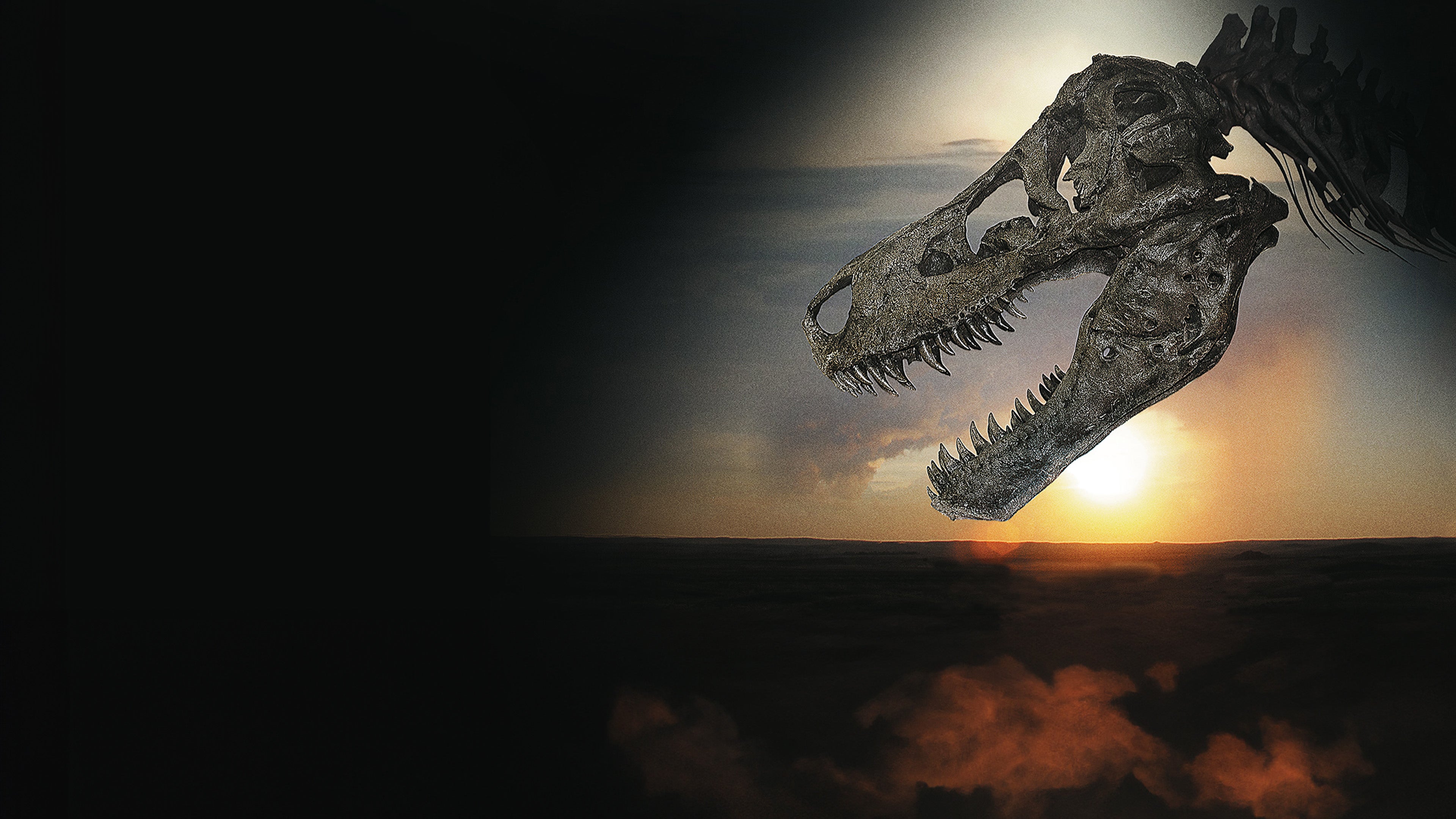 Sue, Dinosaurier Nr. 13