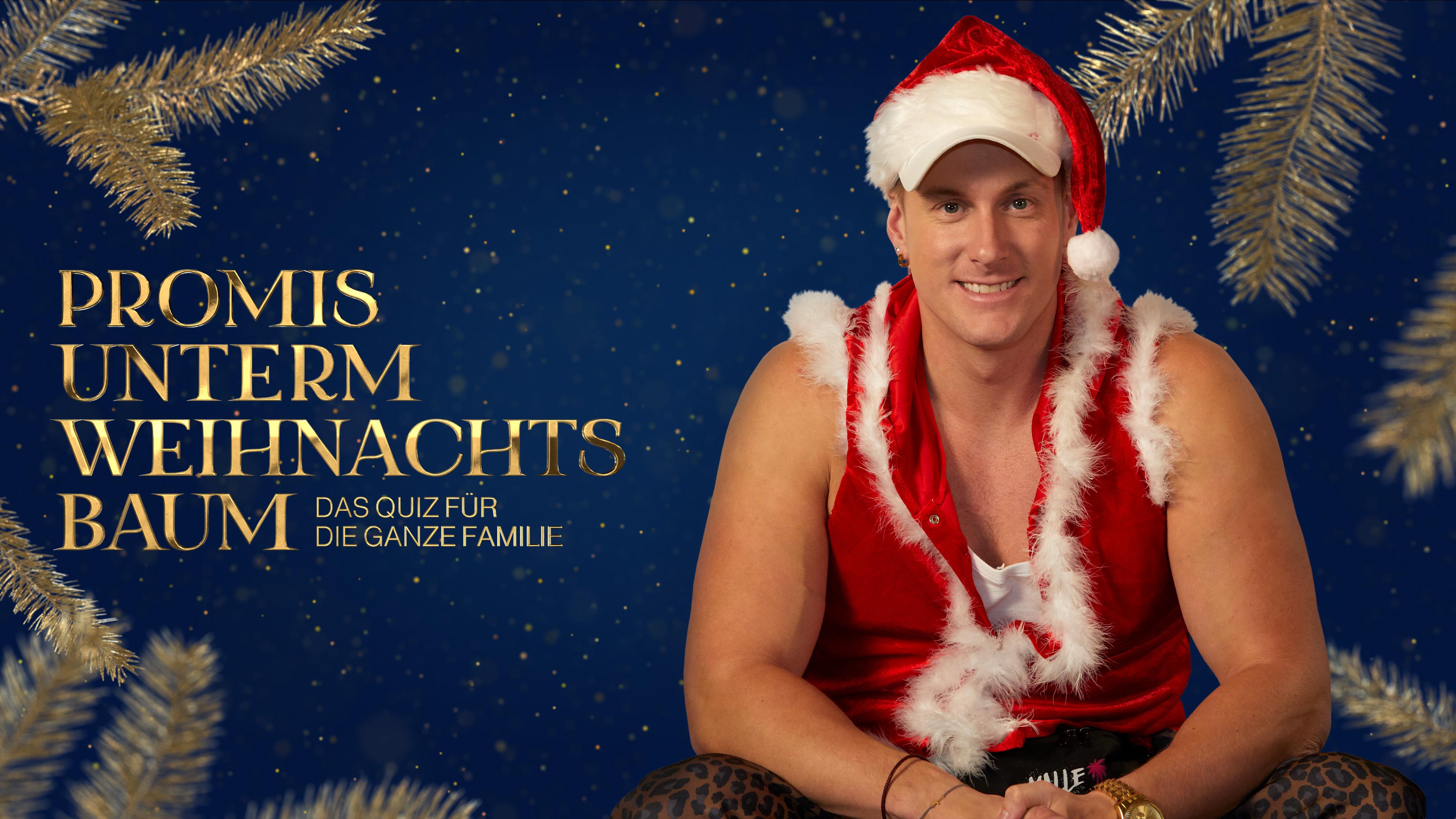Promis unterm Weihnachtsbaum - Das Quiz für die ganze Familie