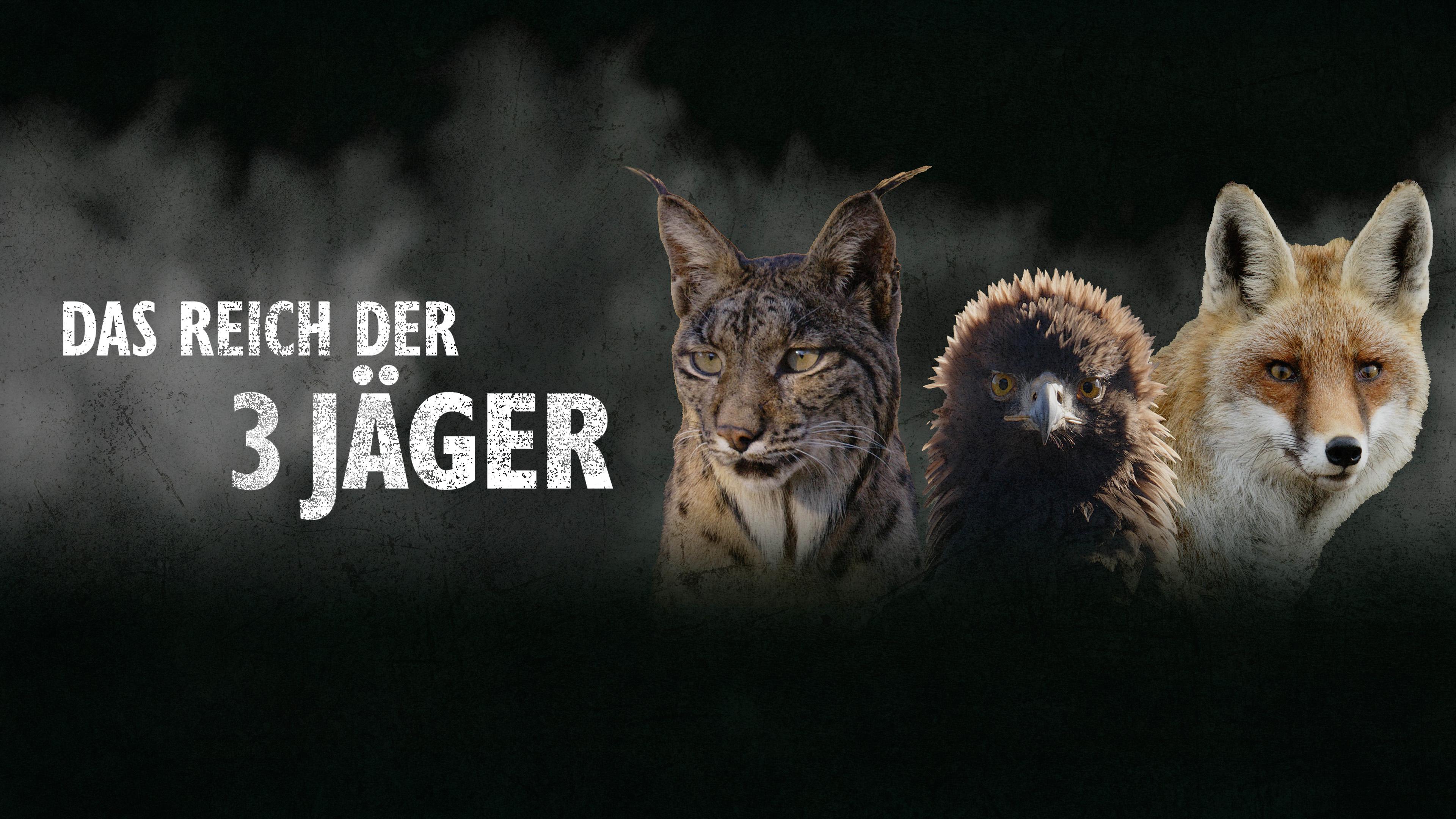 Das Reich der drei Jäger