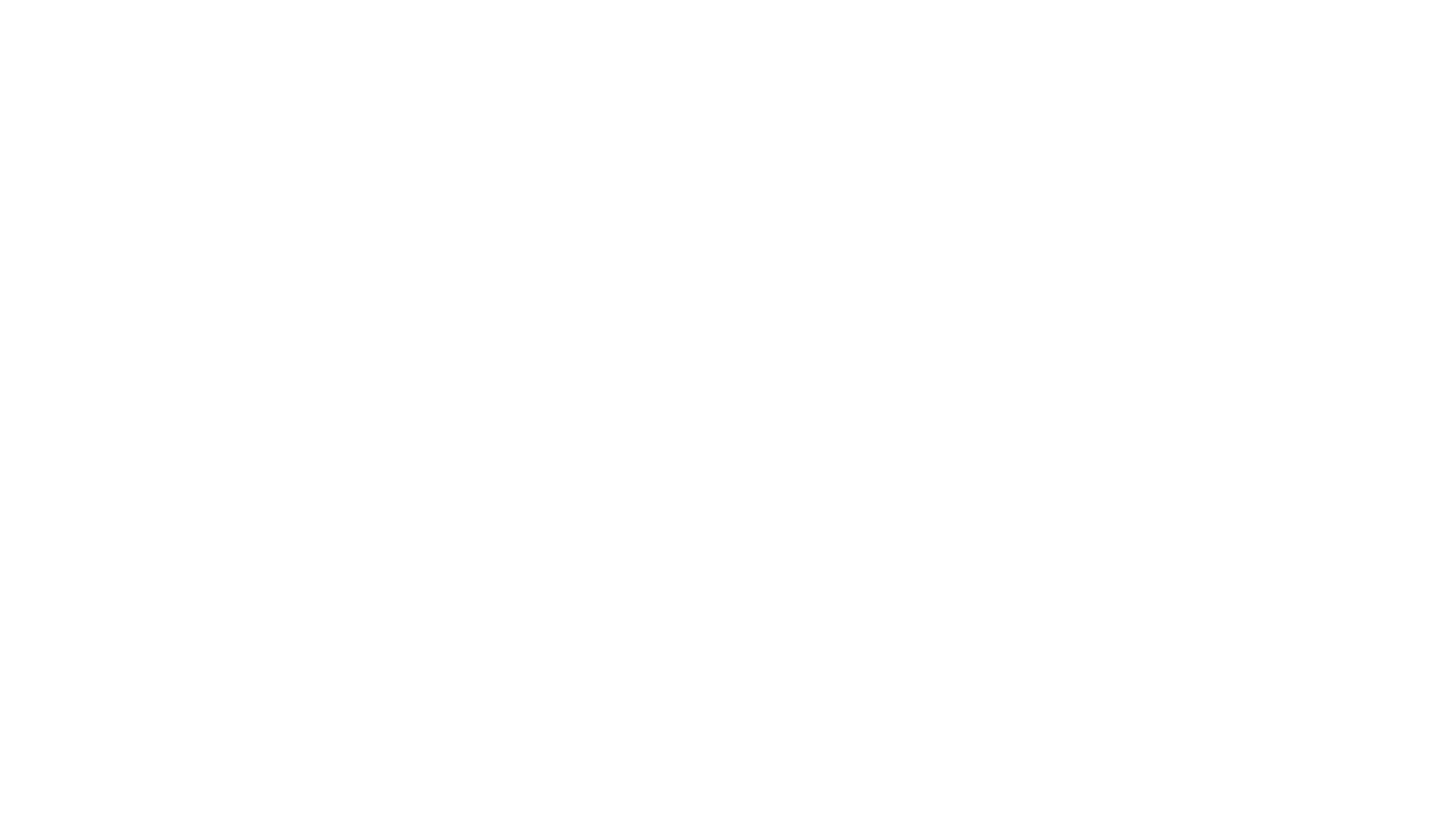 Dulatov Brothers - Der Video-Podcast