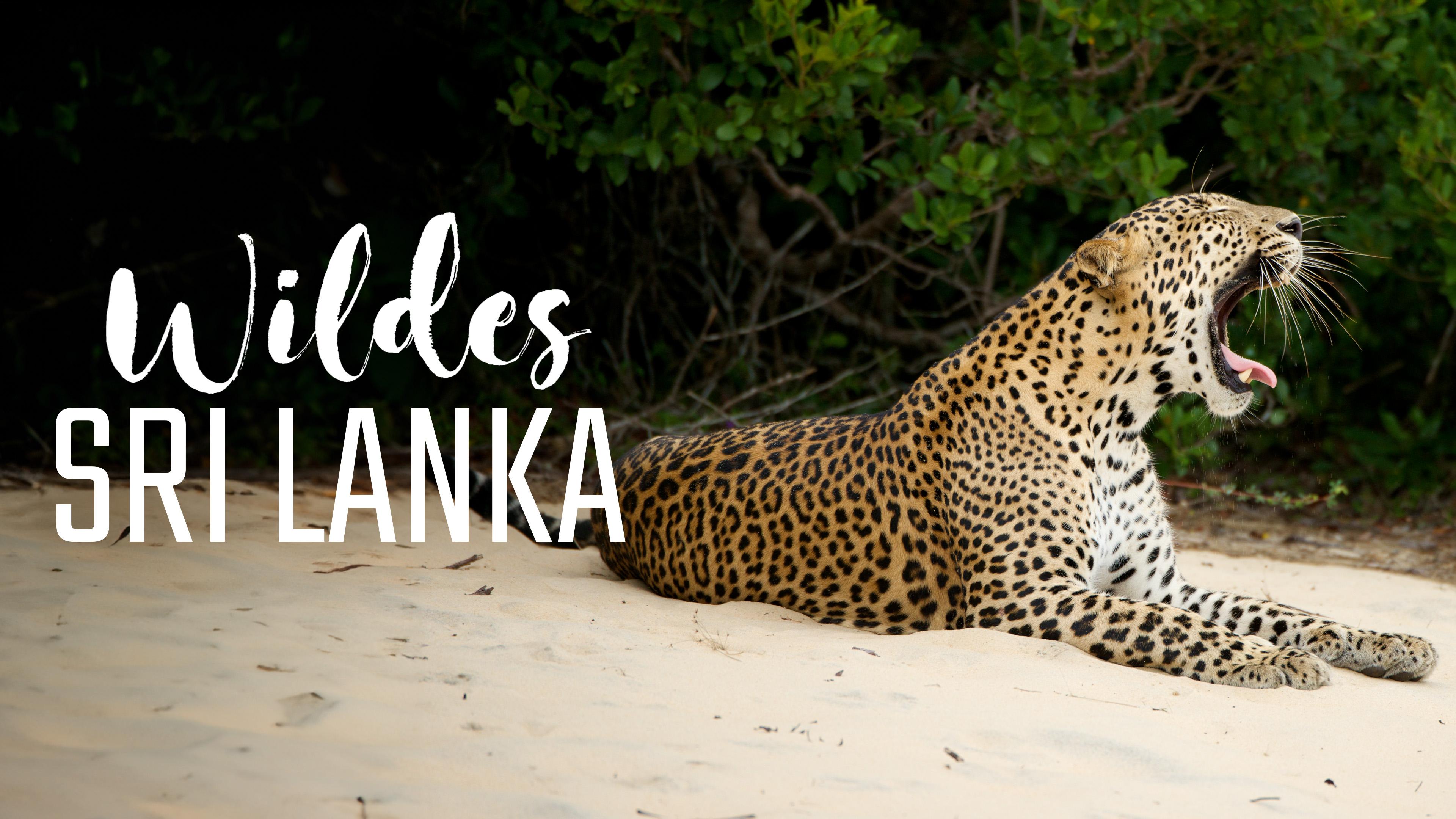 Wildes Sri Lanka