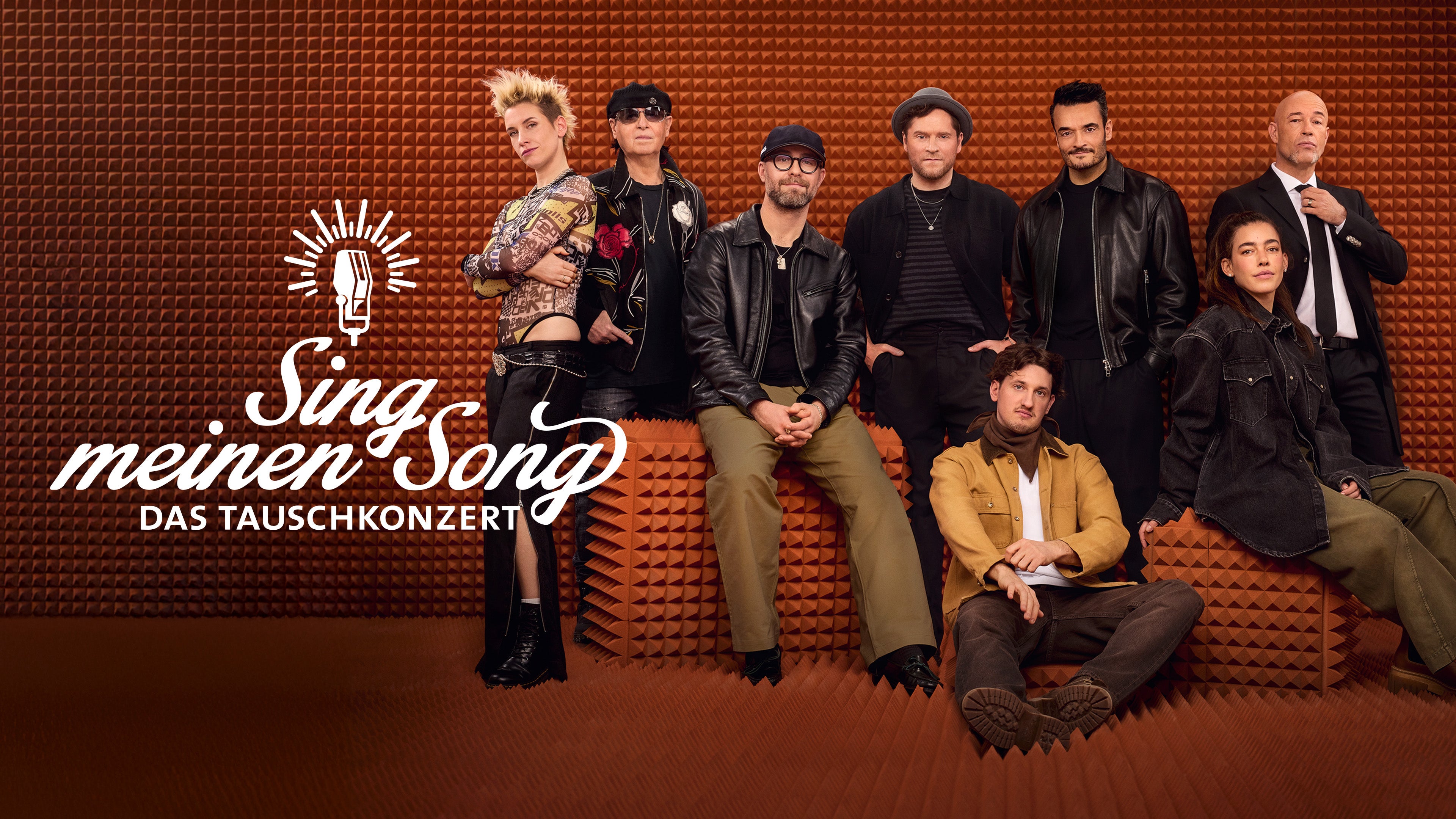 Sing meinen Song - Das Tauschkonzert