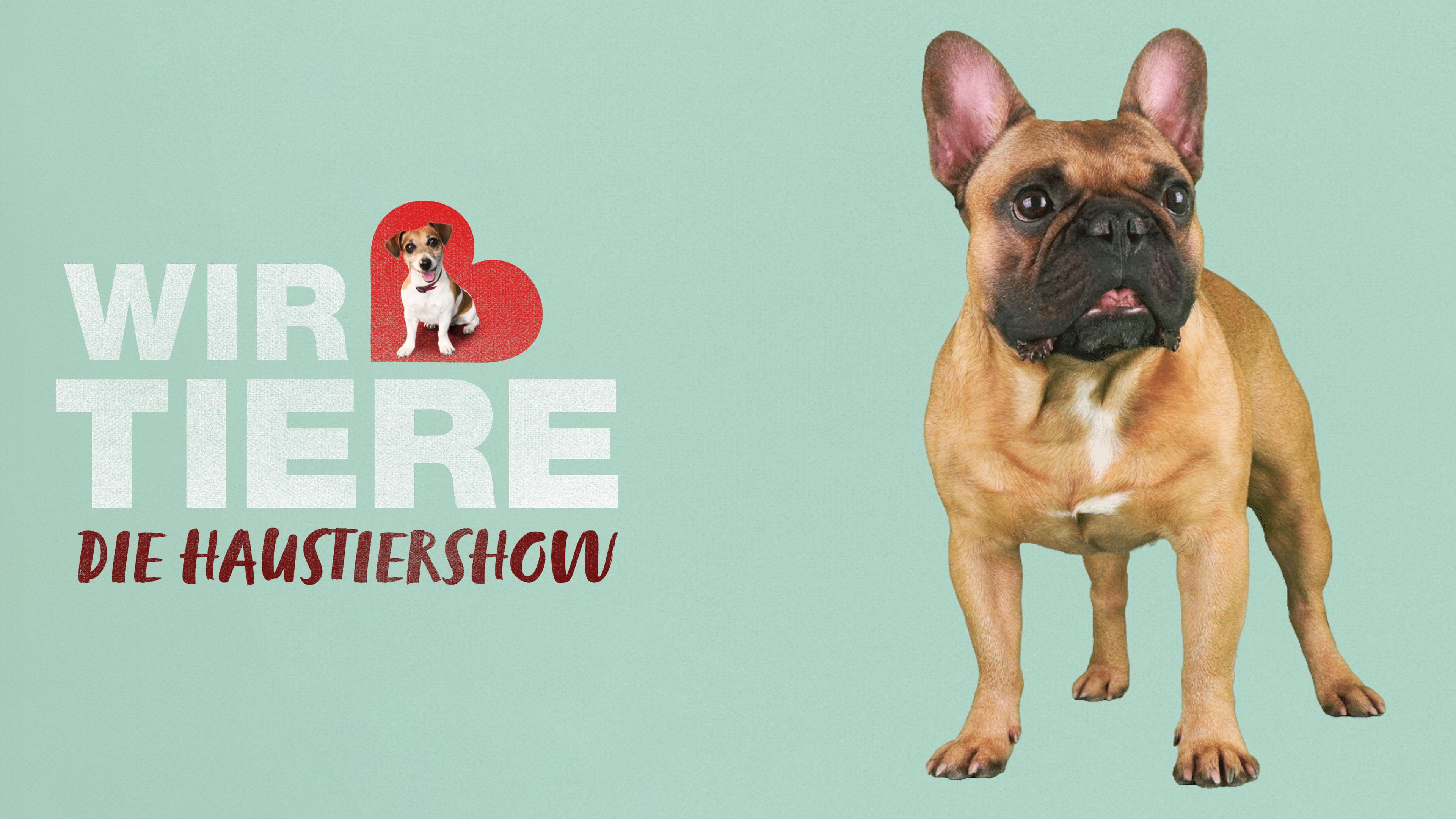 Wir lieben Tiere - Die Haustiershow