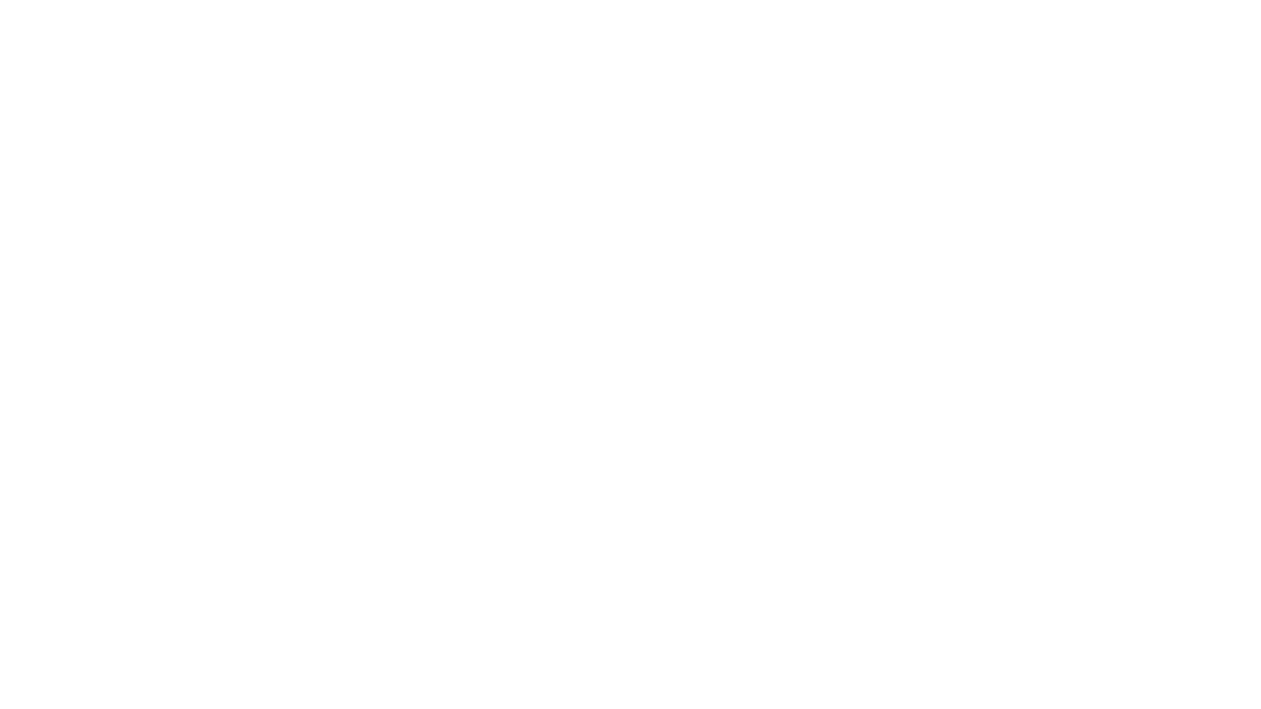 The Girl before