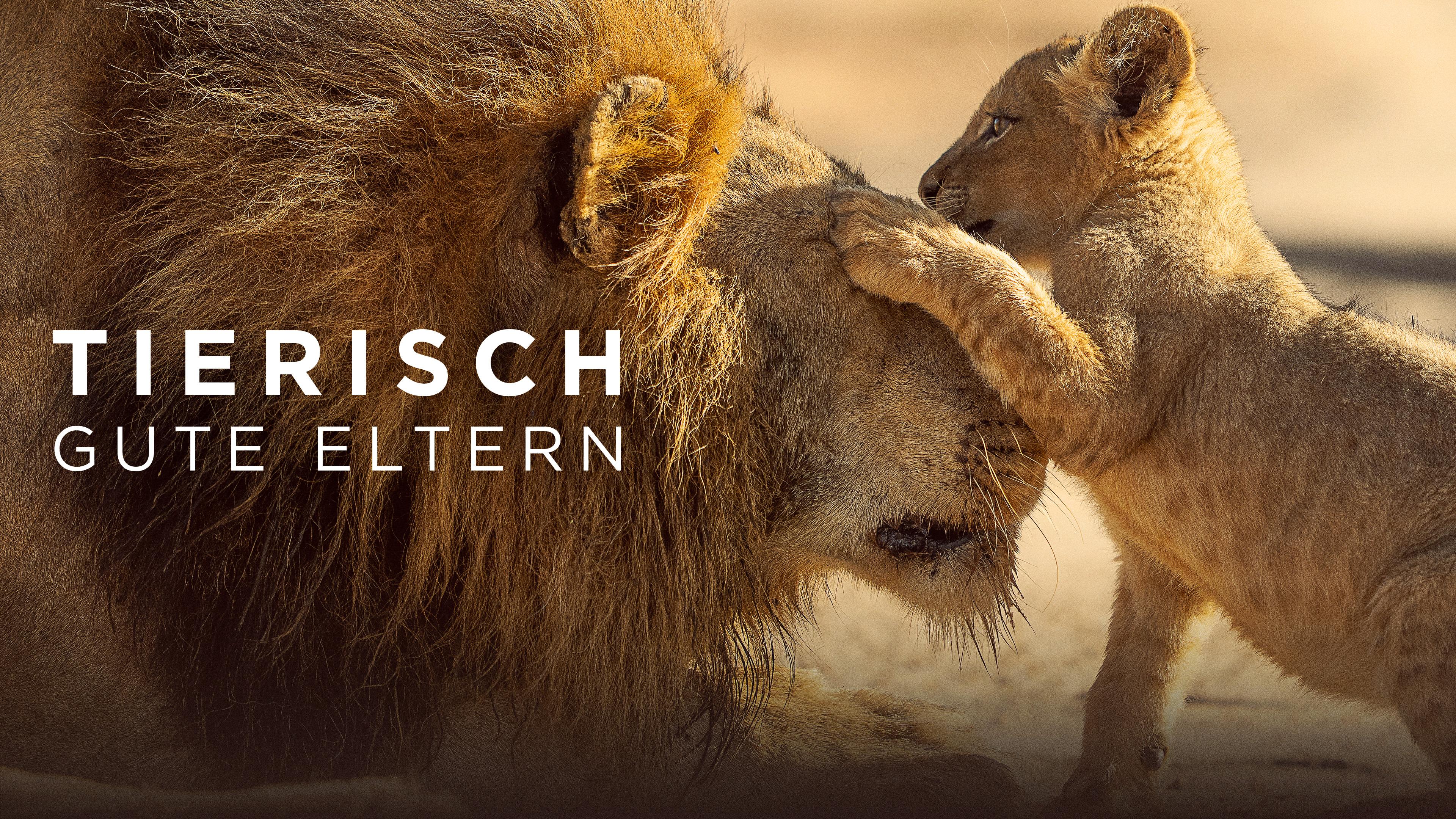 Tierisch gute Eltern