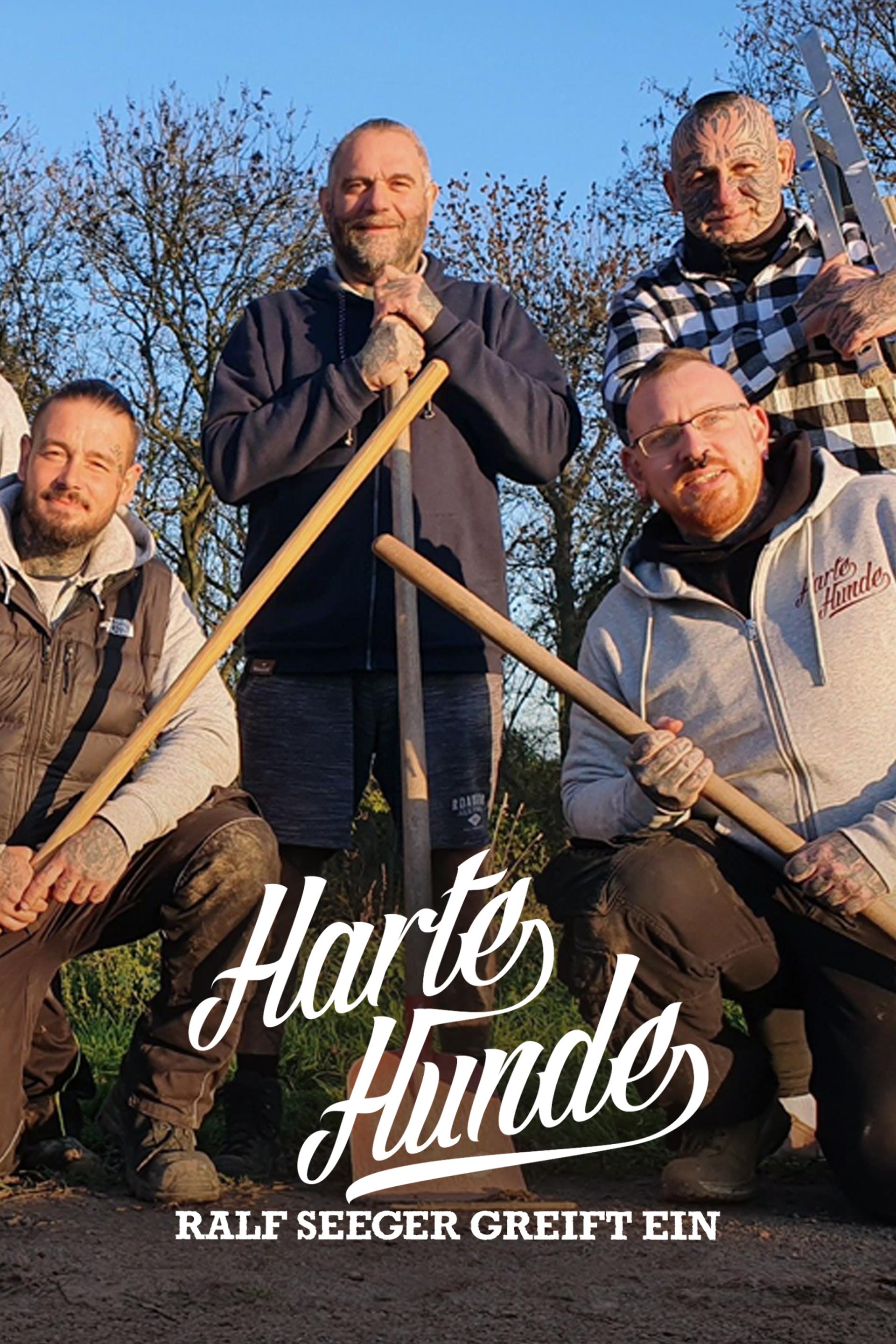Harte Hunde - Ralf Seeger greift ein