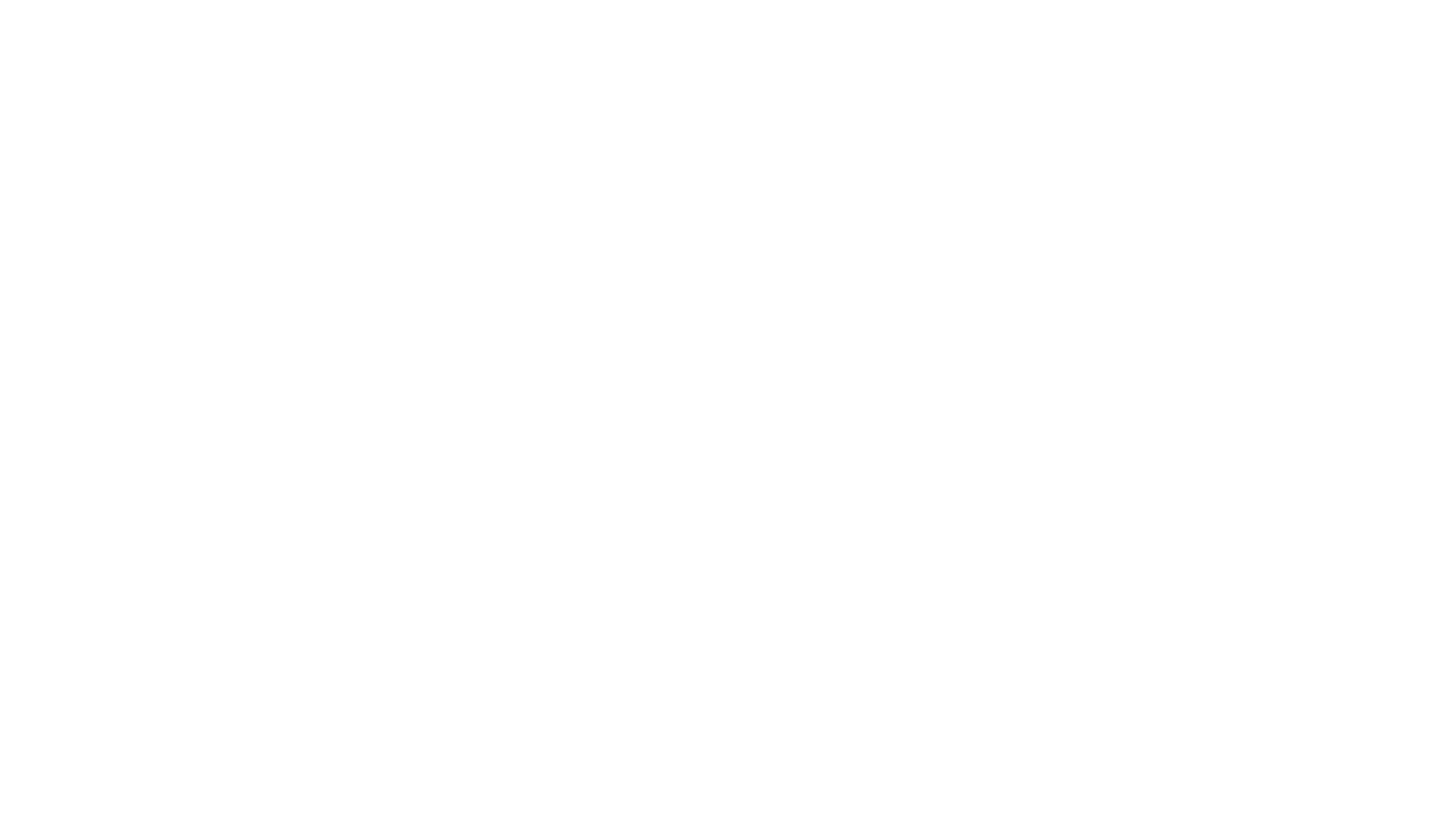Bushido - RESET