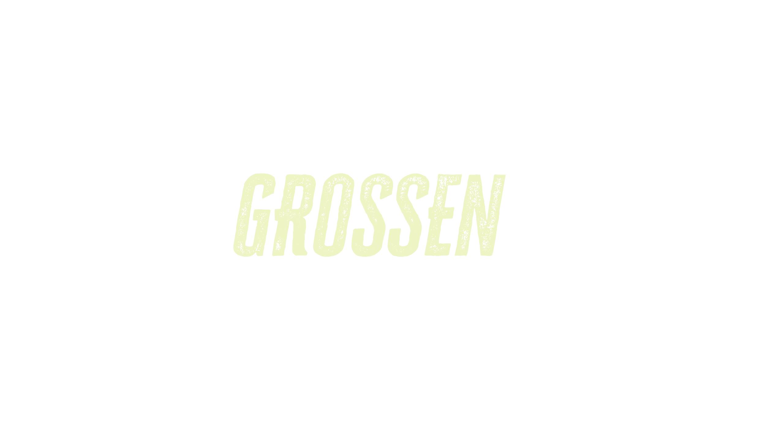Die großen Seen