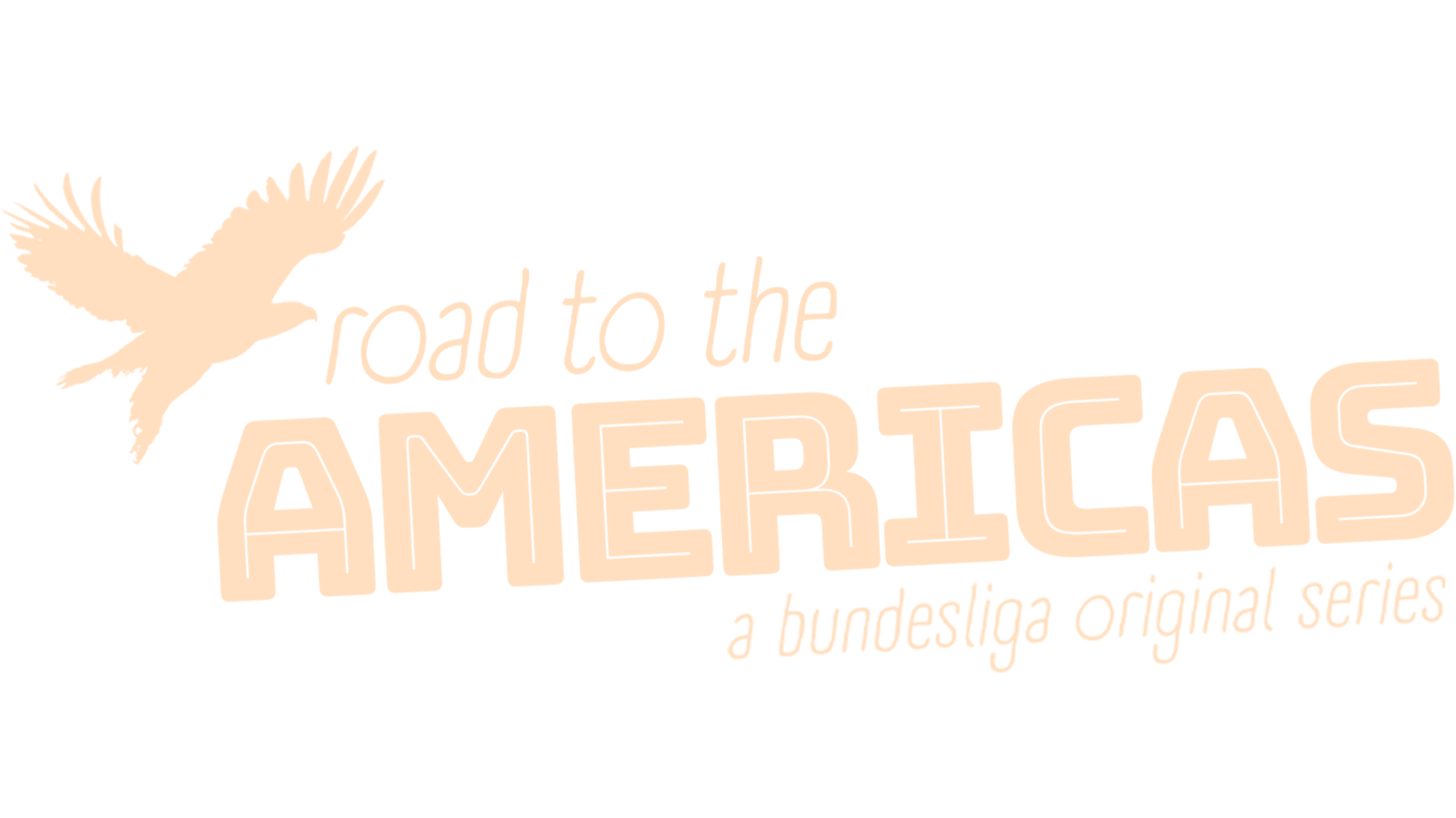 Road to the Americas