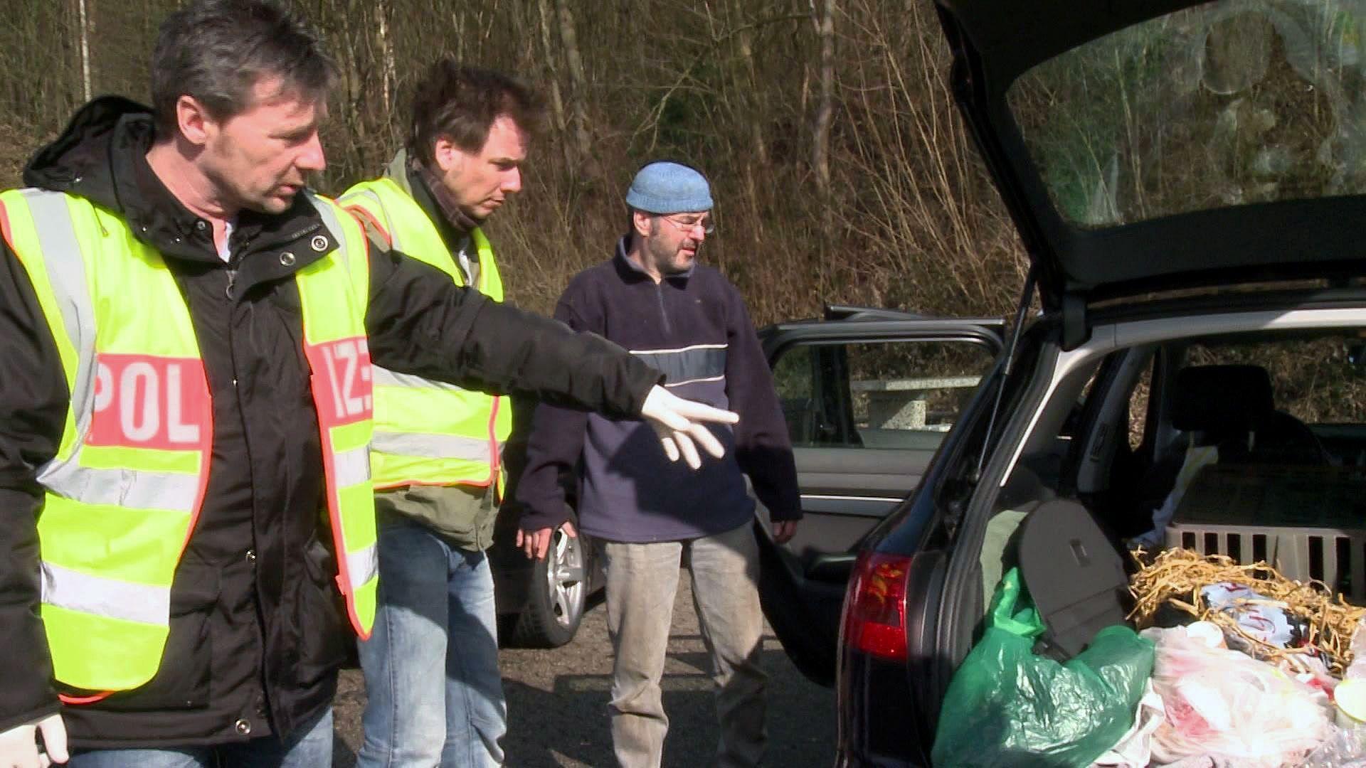 Ein Tiersammler rast mit einem ungesicherten Huhn über die Autobahn