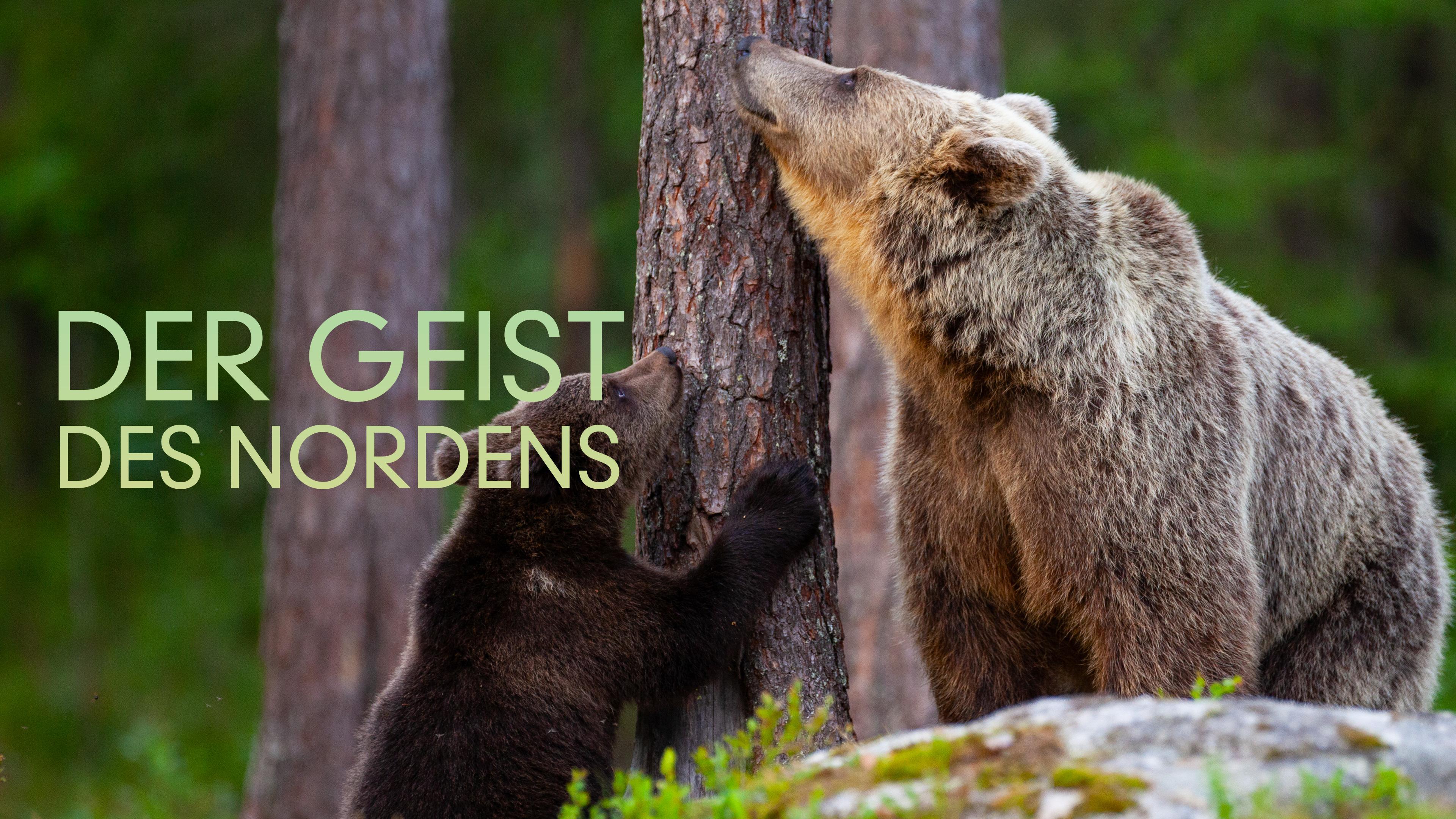 Der Geist des Nordens