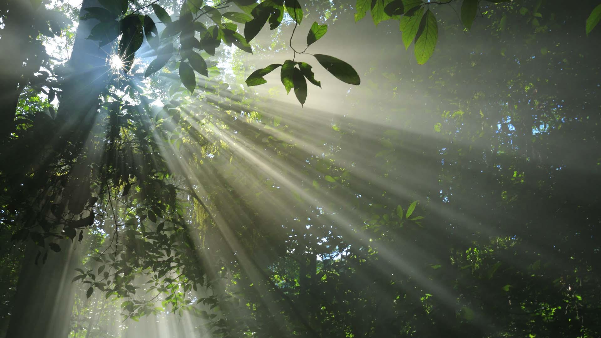 Die Herrschaft der Sonne