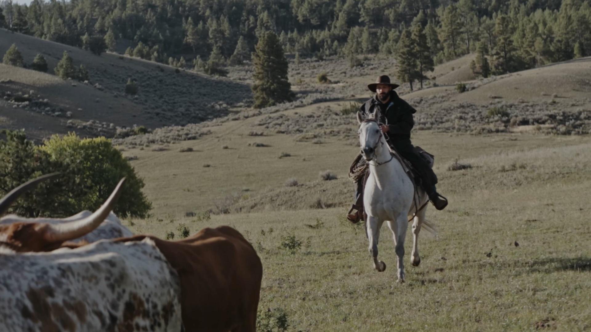 Die Cowboys