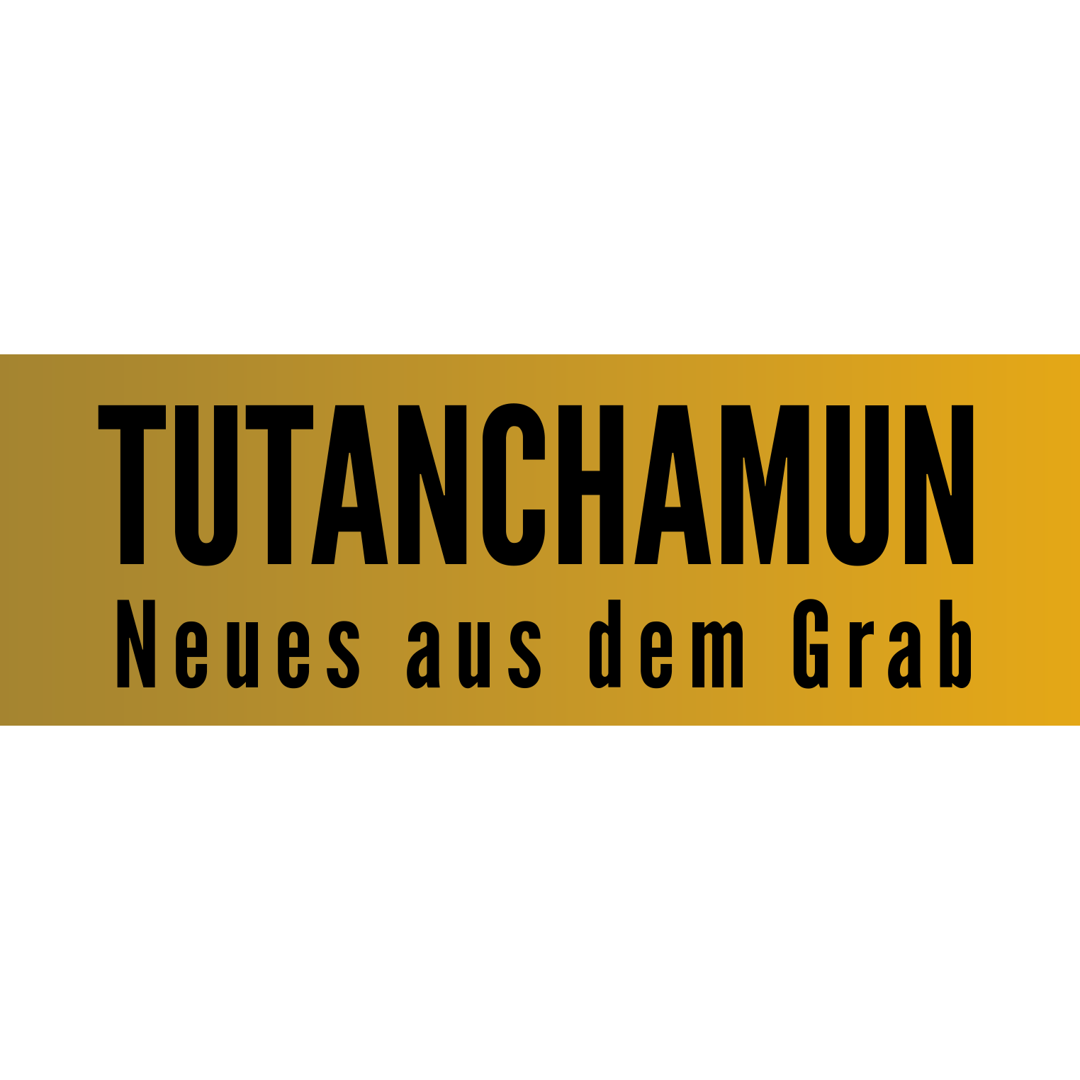 Tutanchamun - Neues aus dem Grab