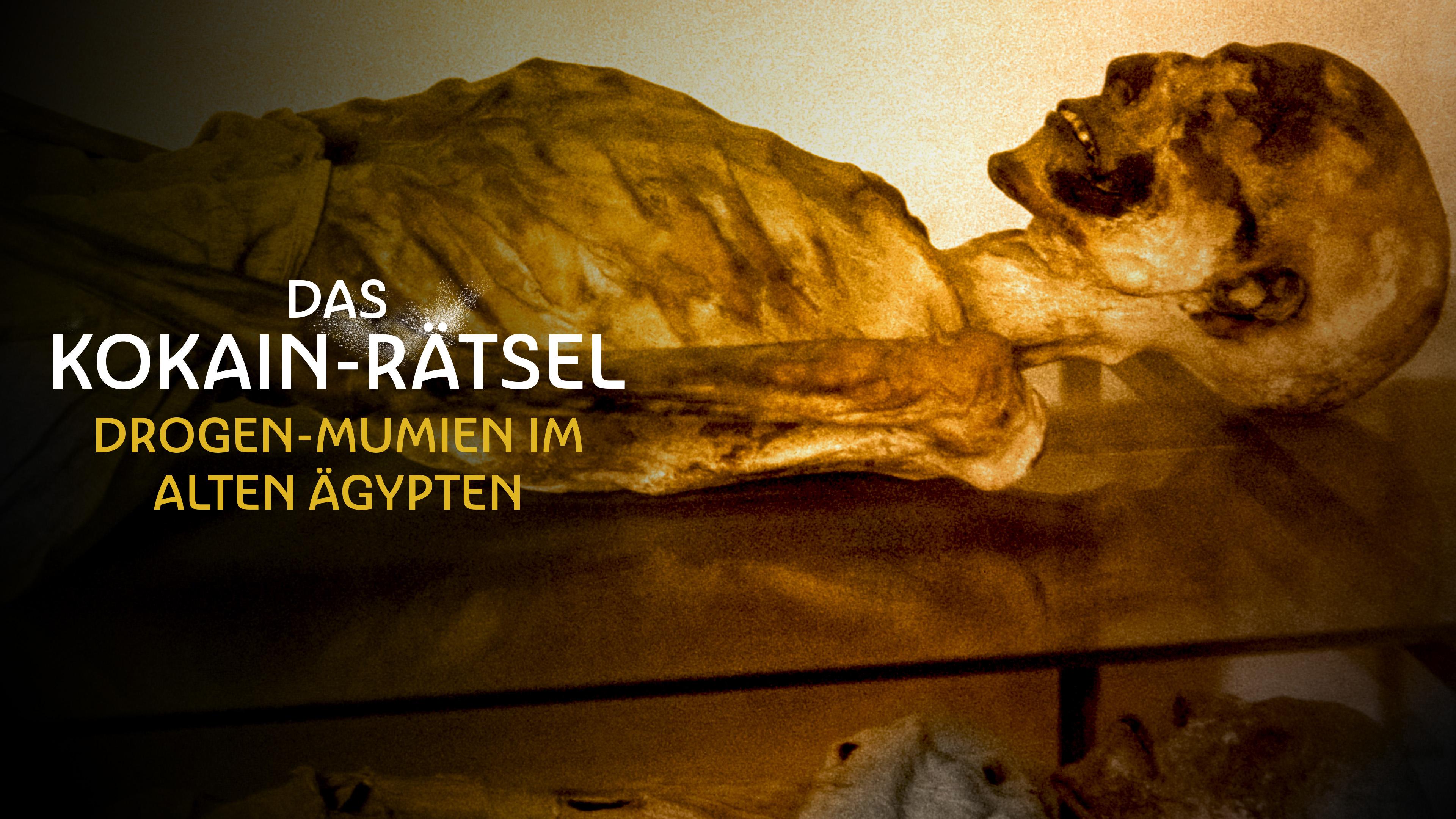 Das Kokain-Rätsel - Drogen-Mumien im Alten Ägypten