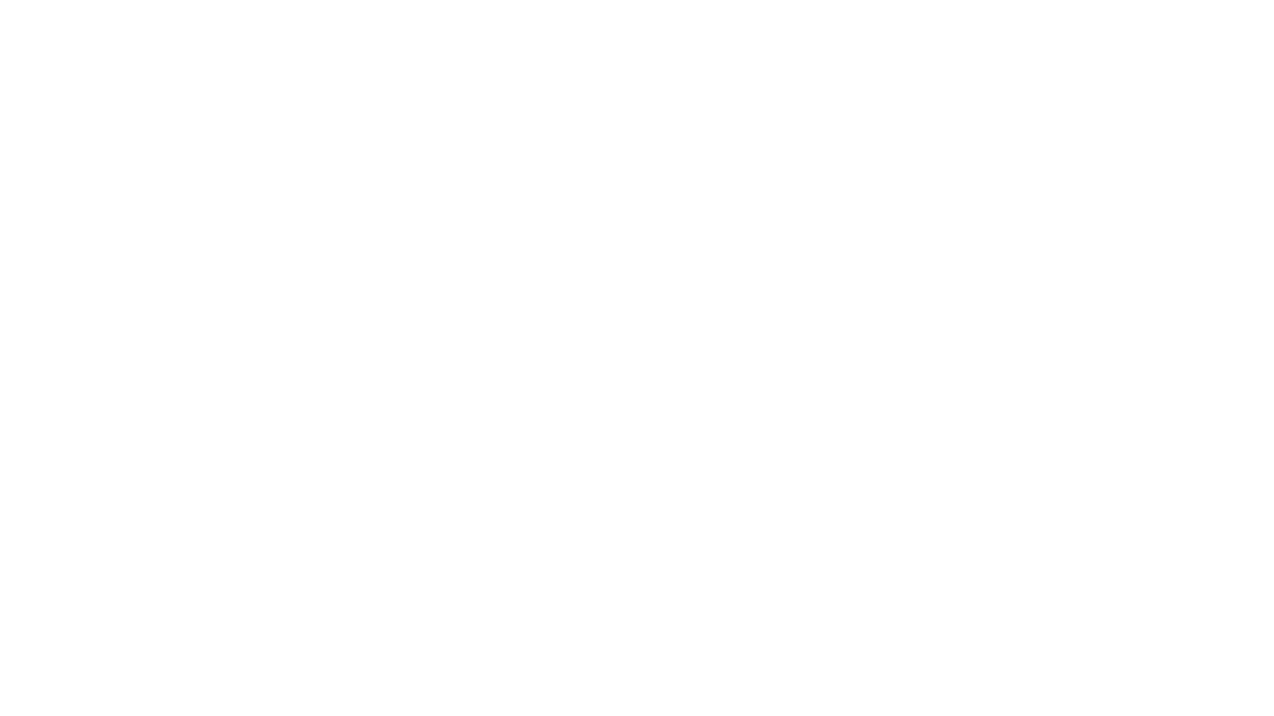 Der Sturz - Mary Decker gegen Zola Budd