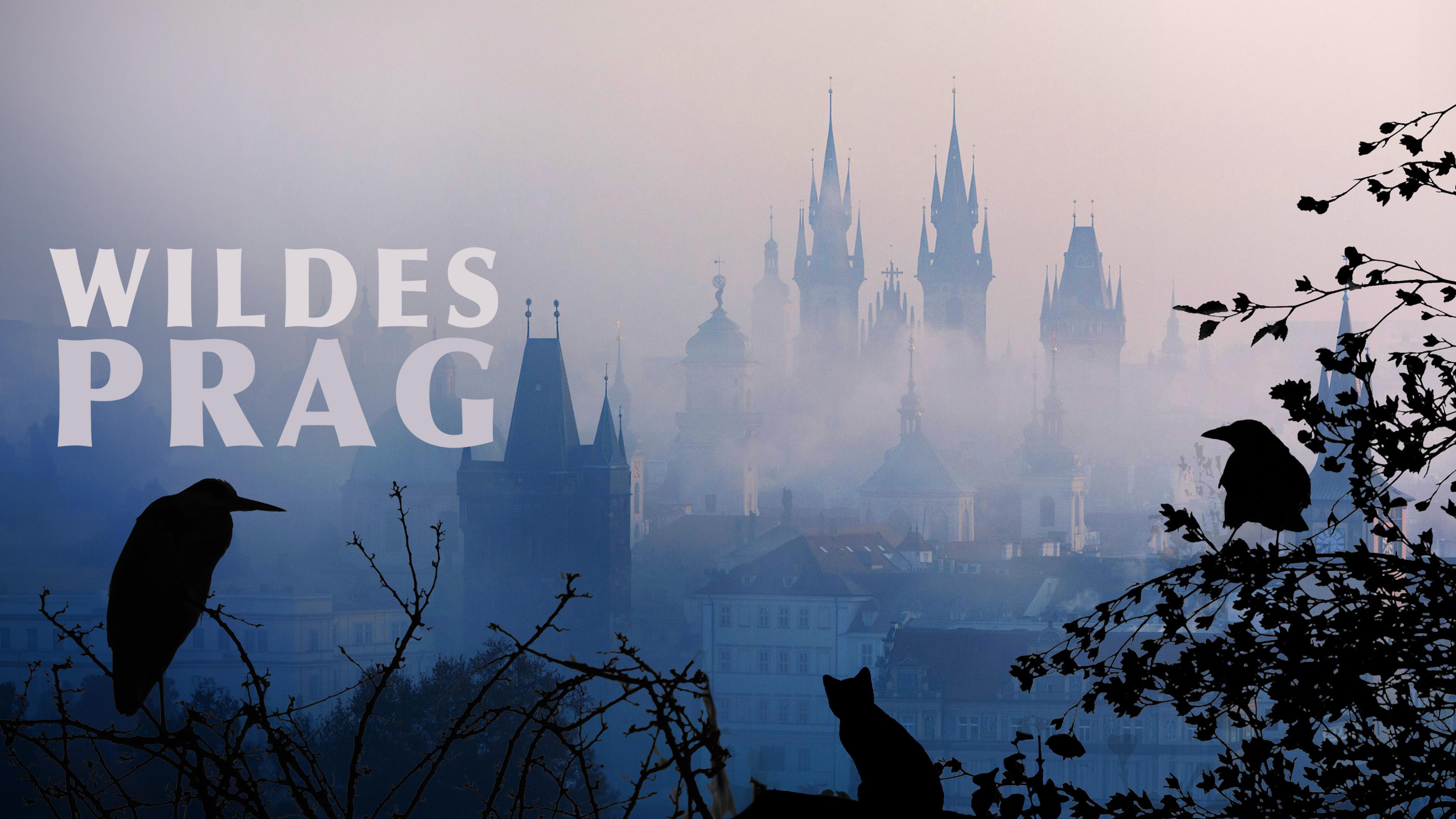 Wildes Prag