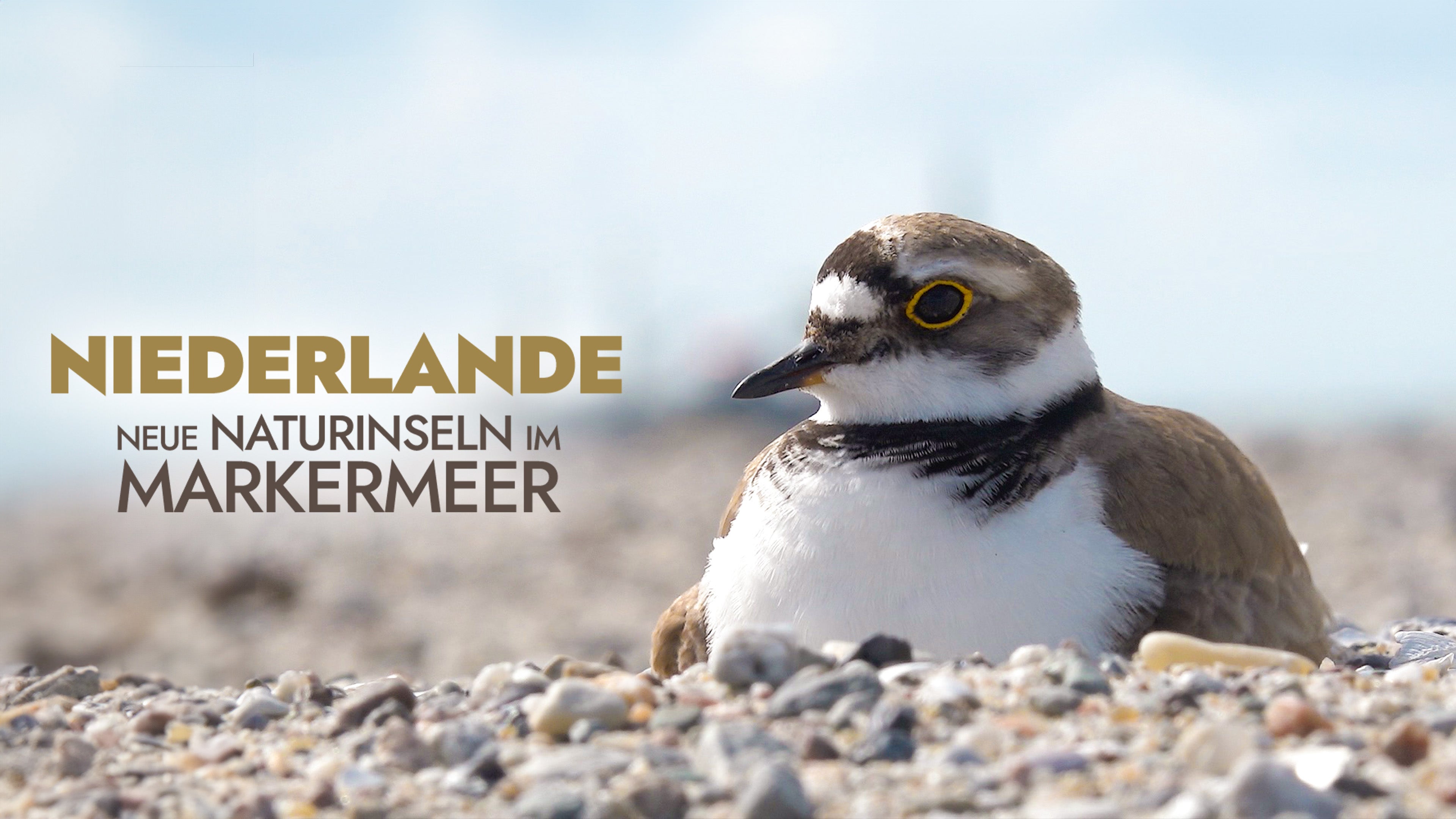 Niederlande - Neue Naturinseln im Markermeer