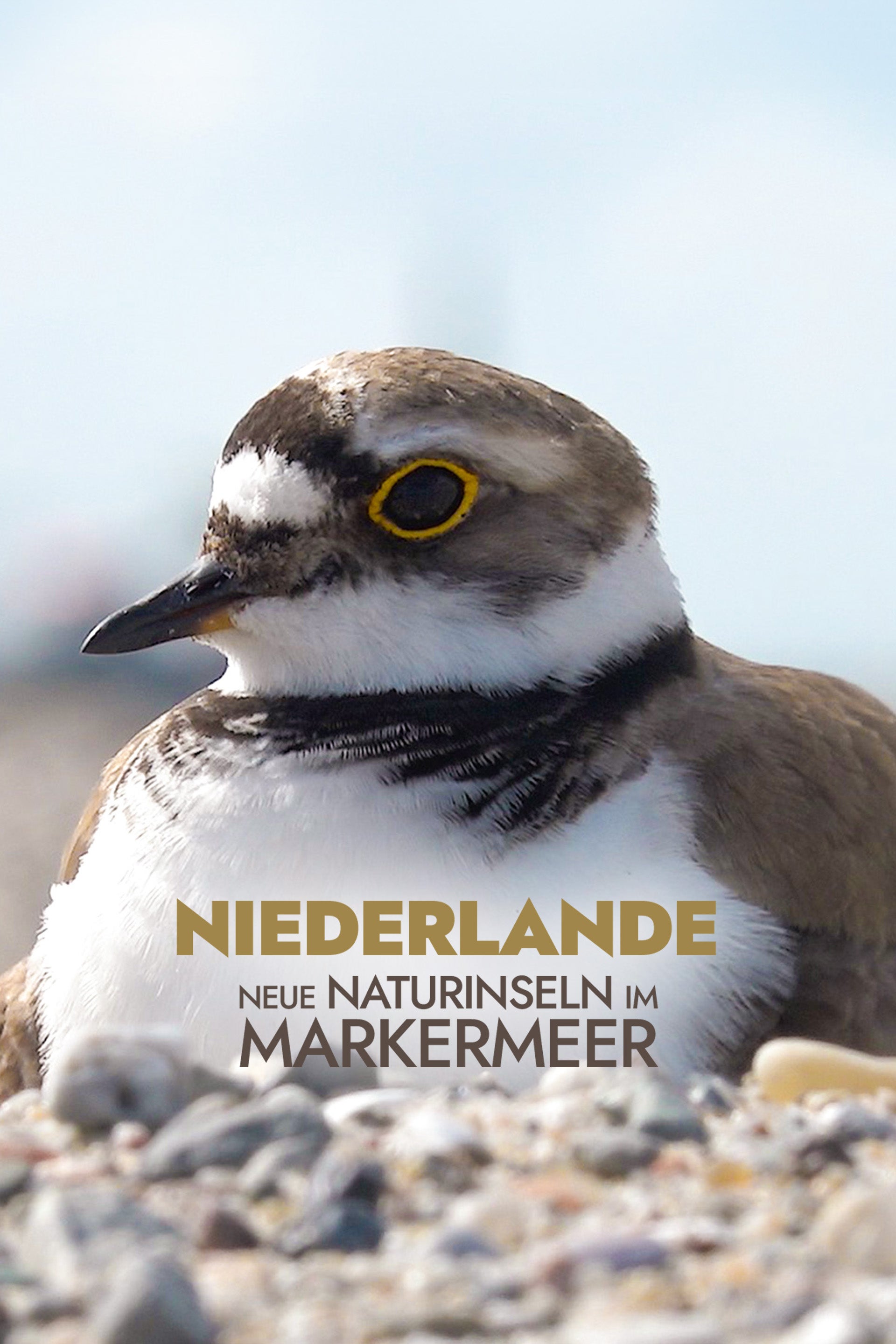 Niederlande - Neue Naturinseln im Markermeer