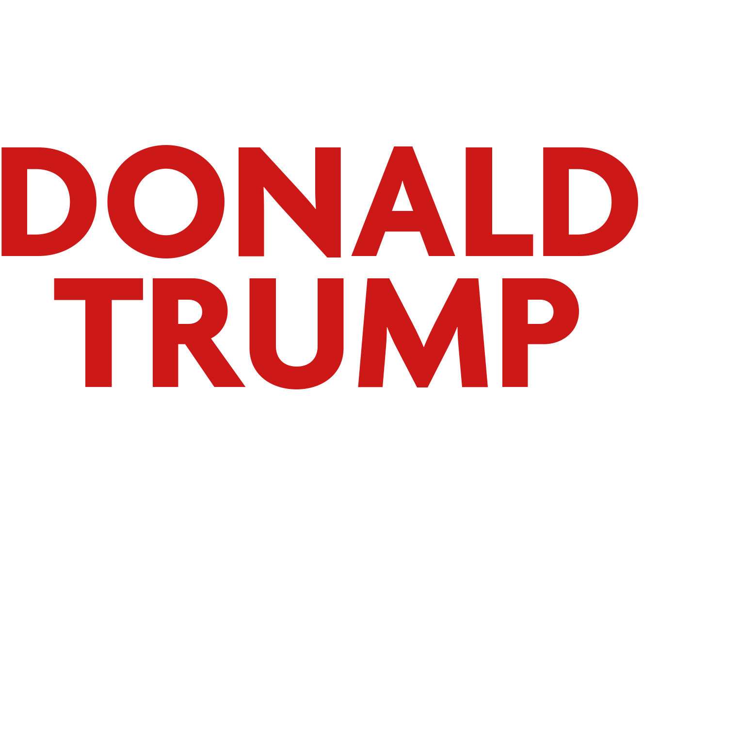 Donald Trump - Kampf ums Weiße Haus
