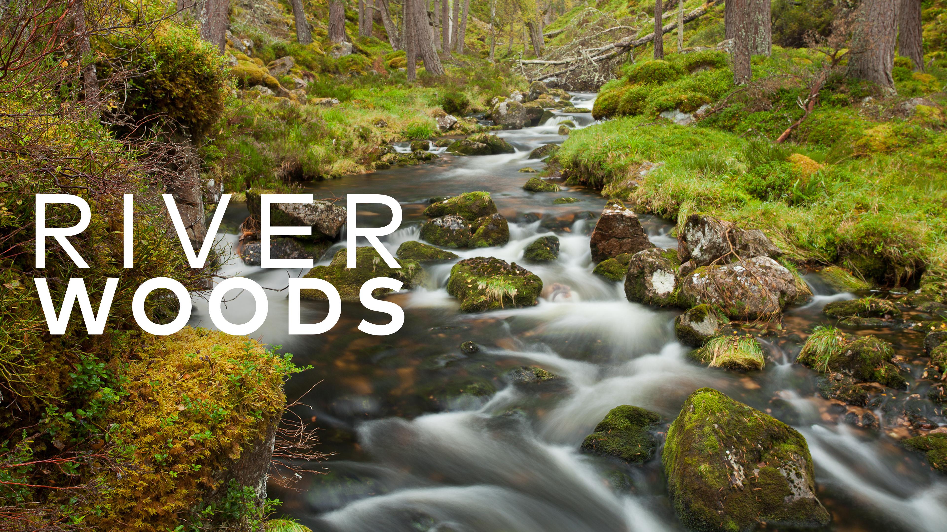 Riverwoods - Schottlands wilde Flüsse
