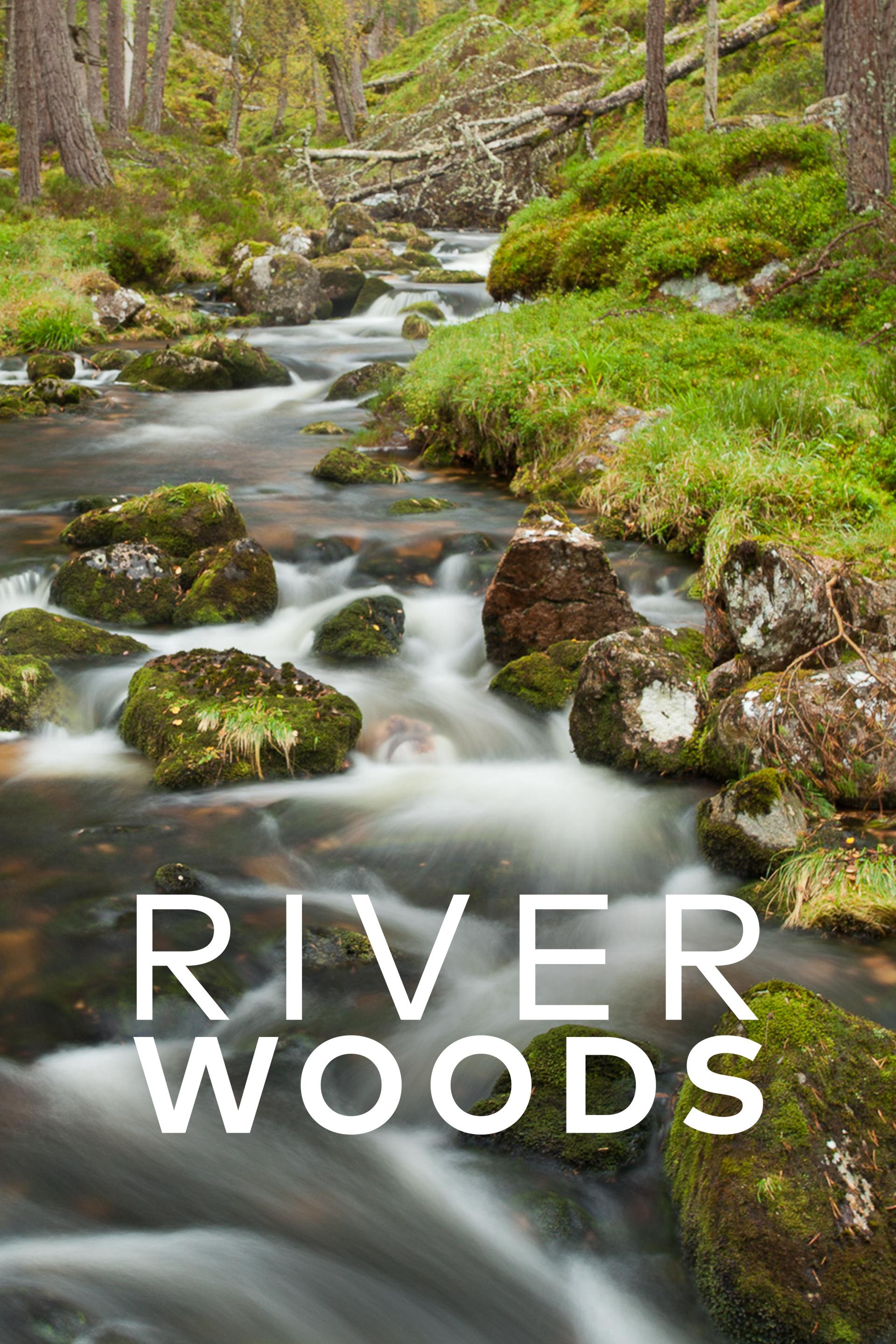 Riverwoods - Schottlands wilde Flüsse