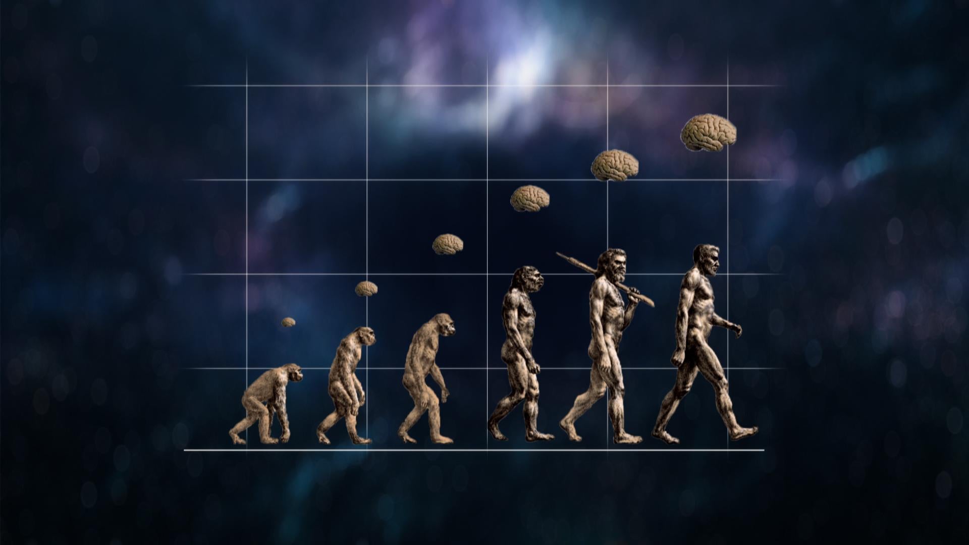 Planet Mensch