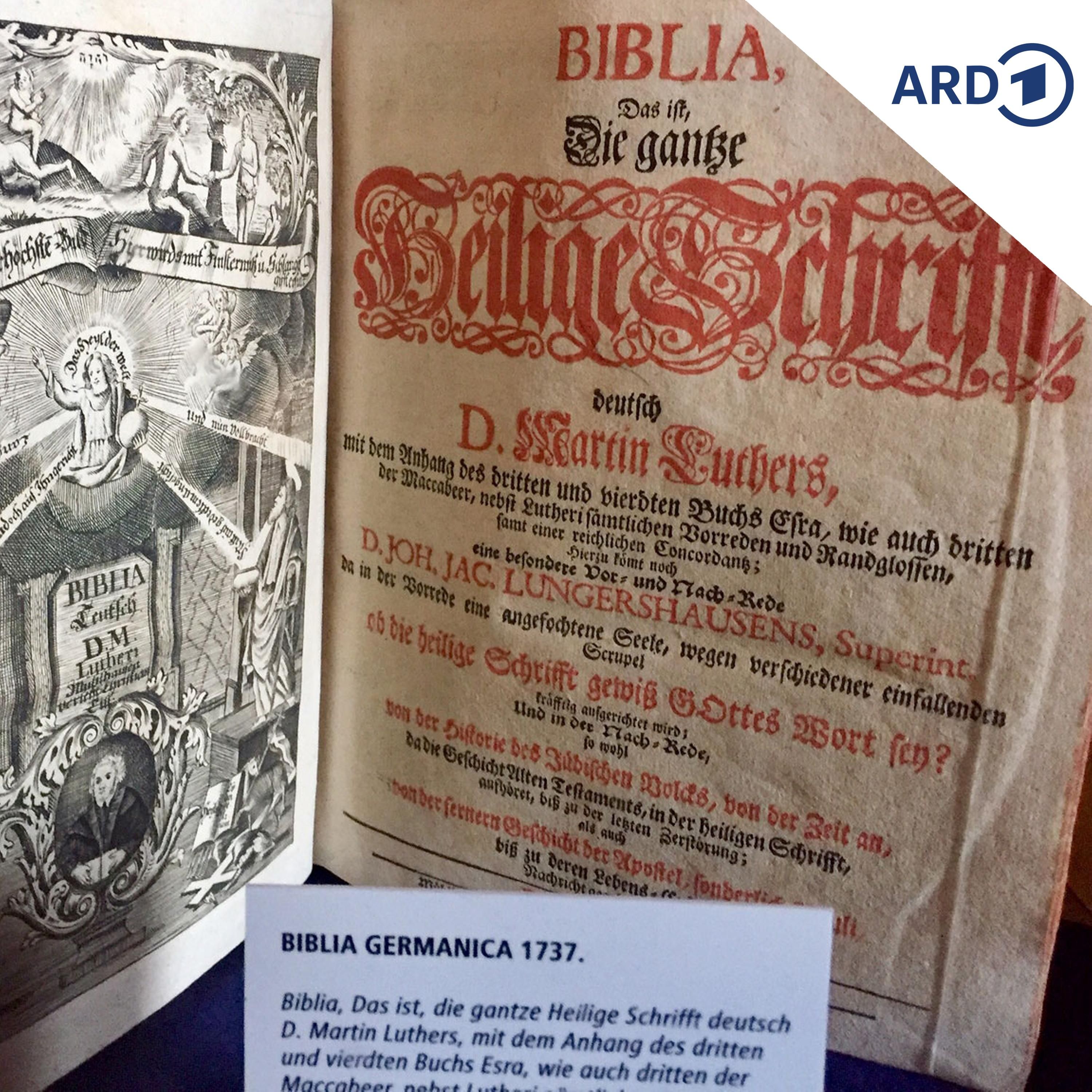 Deutsche Sprache - schwere Sprache, bedrohte Sprache?