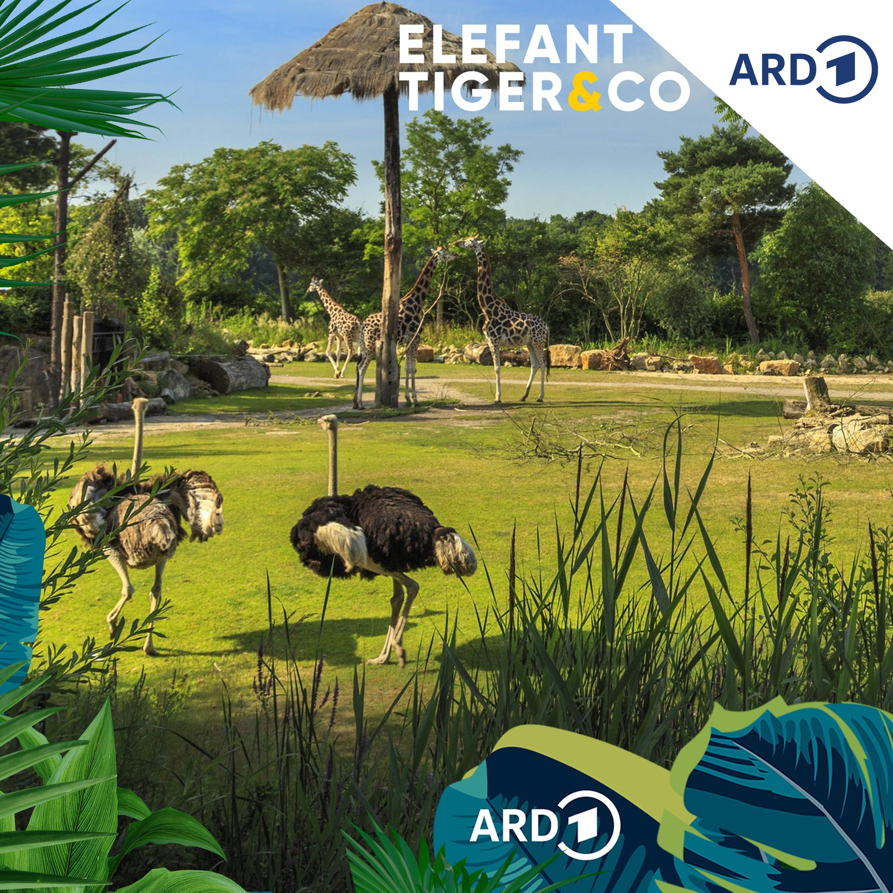 25 Jahre Zoo der Zukunft